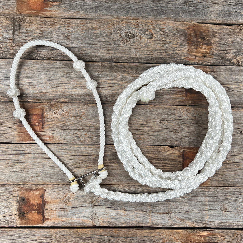Lariat Noseband and Lead - Assorted Colors — view 4