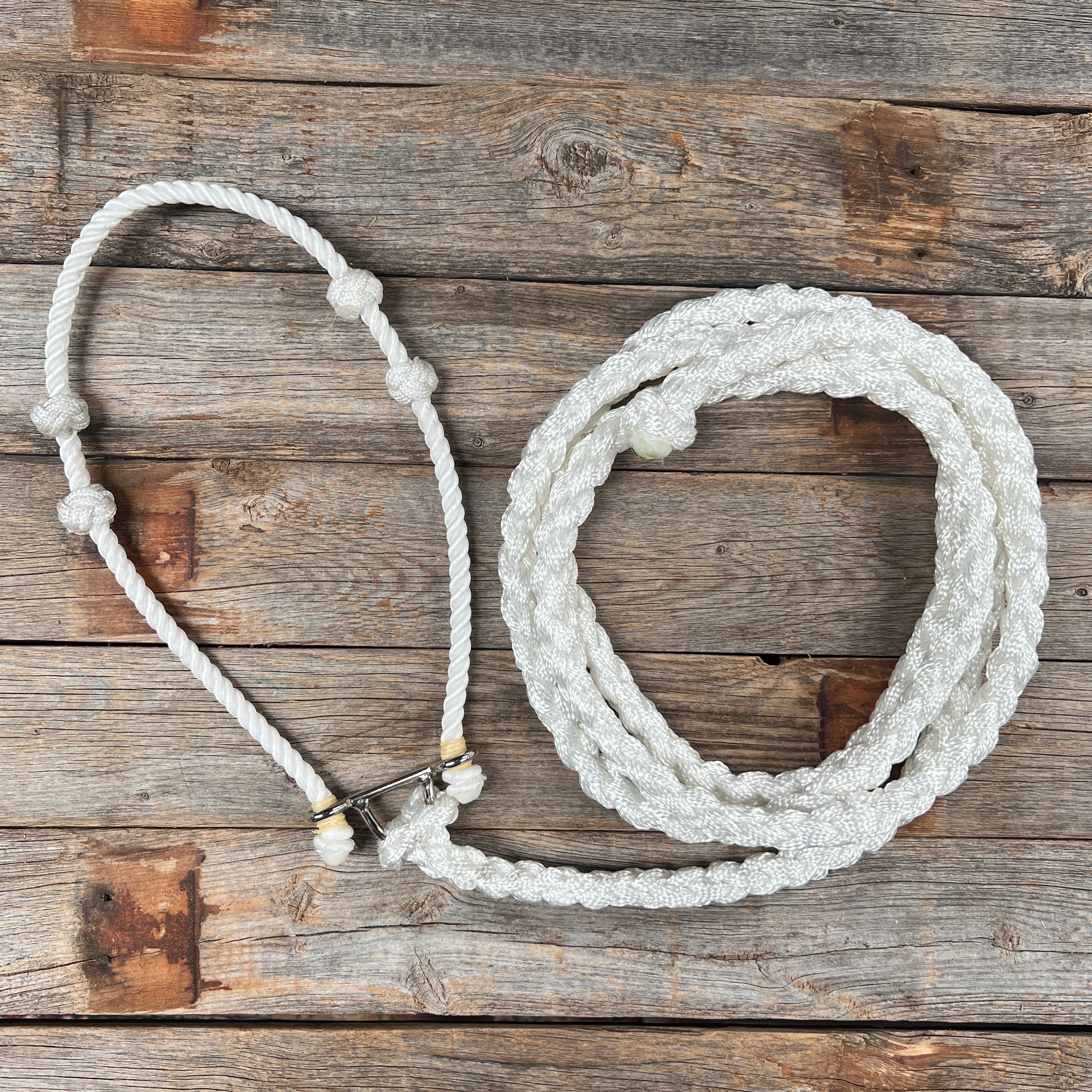 Lariat Noseband and Lead - Assorted Colors — view 4