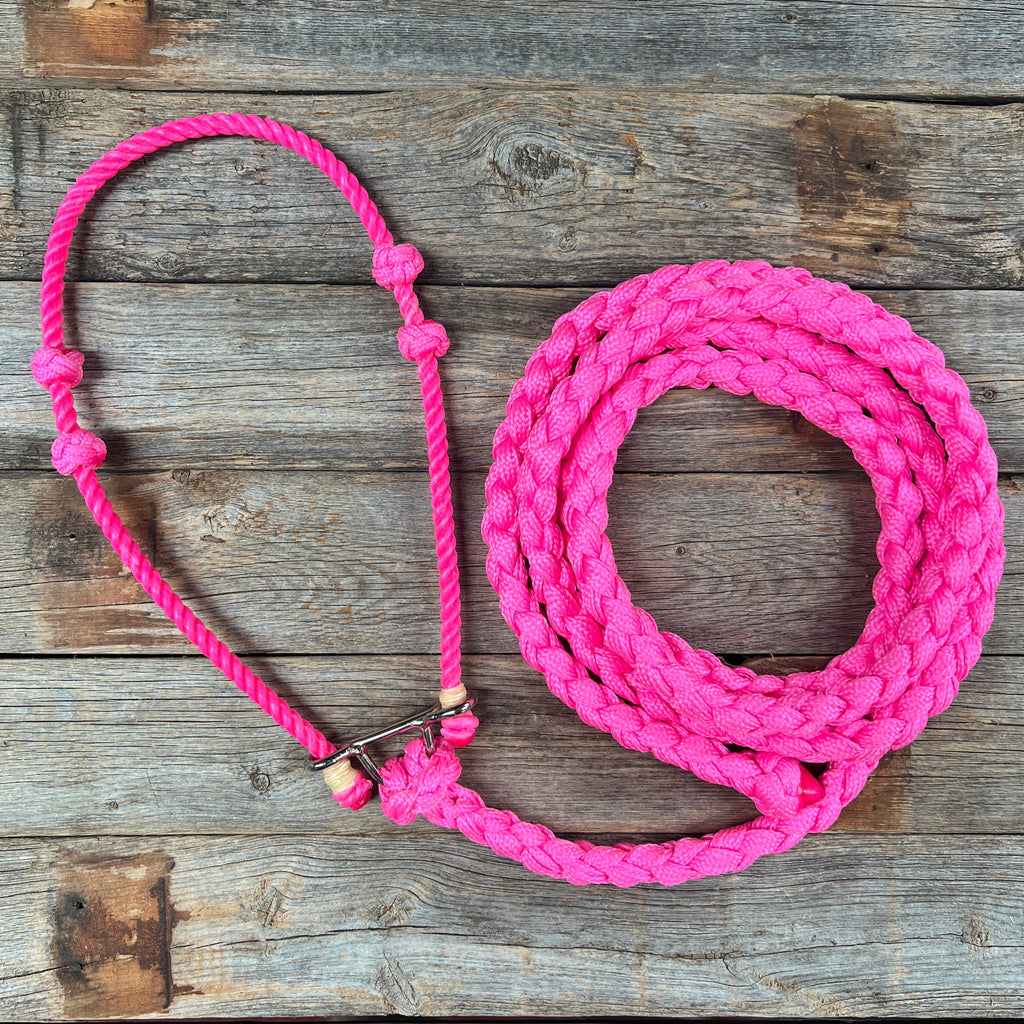 Lariat Noseband and Lead - Assorted Colors — view 5