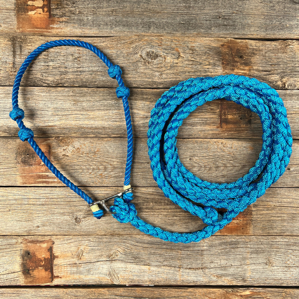 Lariat Noseband and Lead - Assorted Colors — view 7