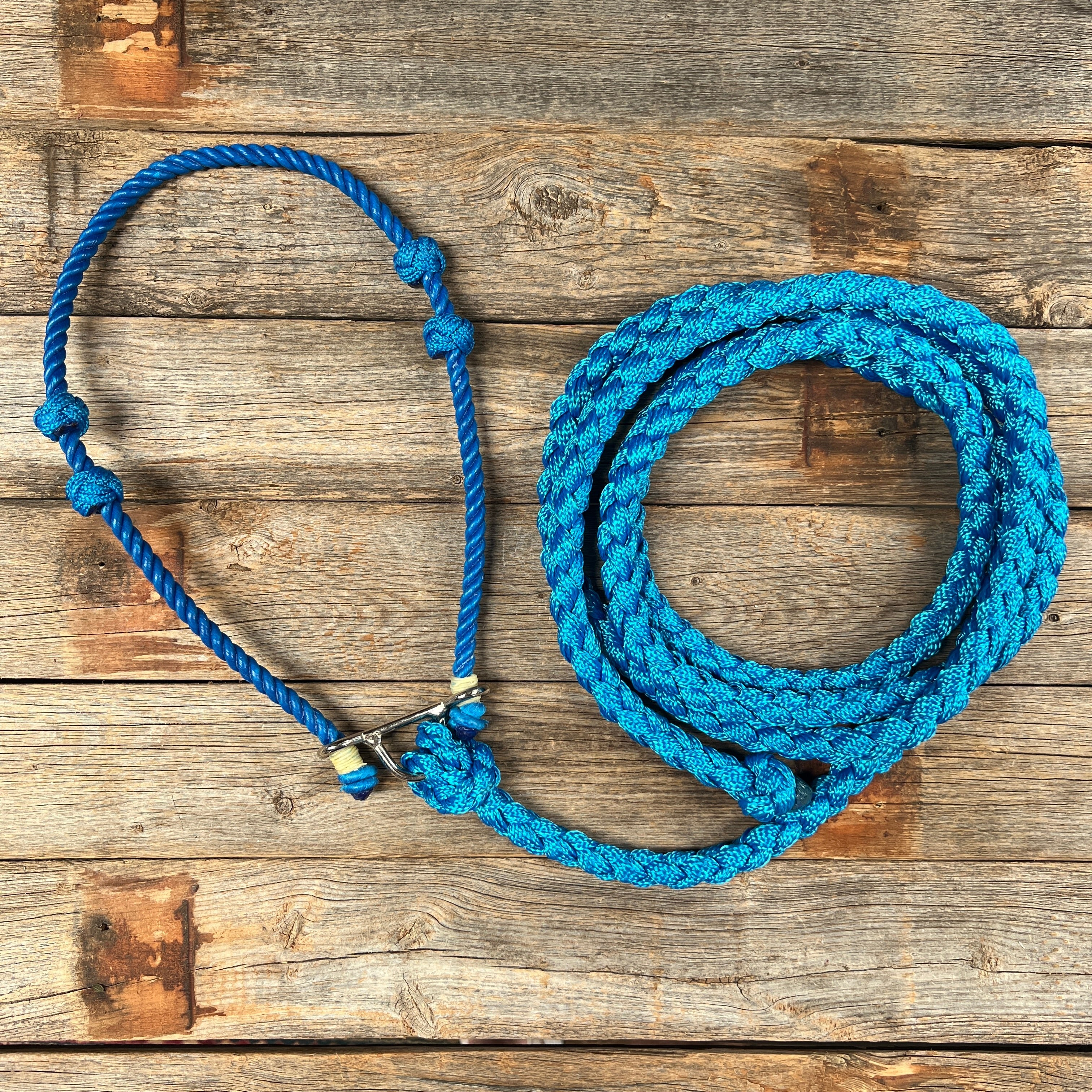 Lariat Noseband and Lead - Assorted Colors — view 7