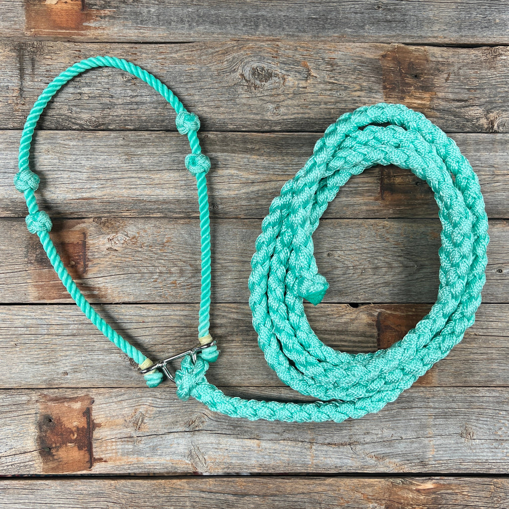 Lariat Noseband and Lead - Assorted Colors — view 9