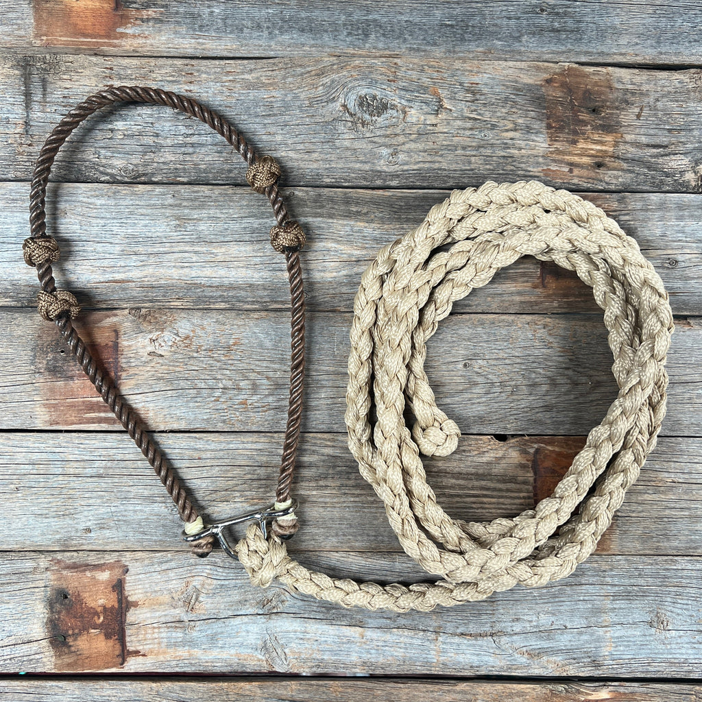 Lariat Noseband and Lead - Assorted Colors — view 10