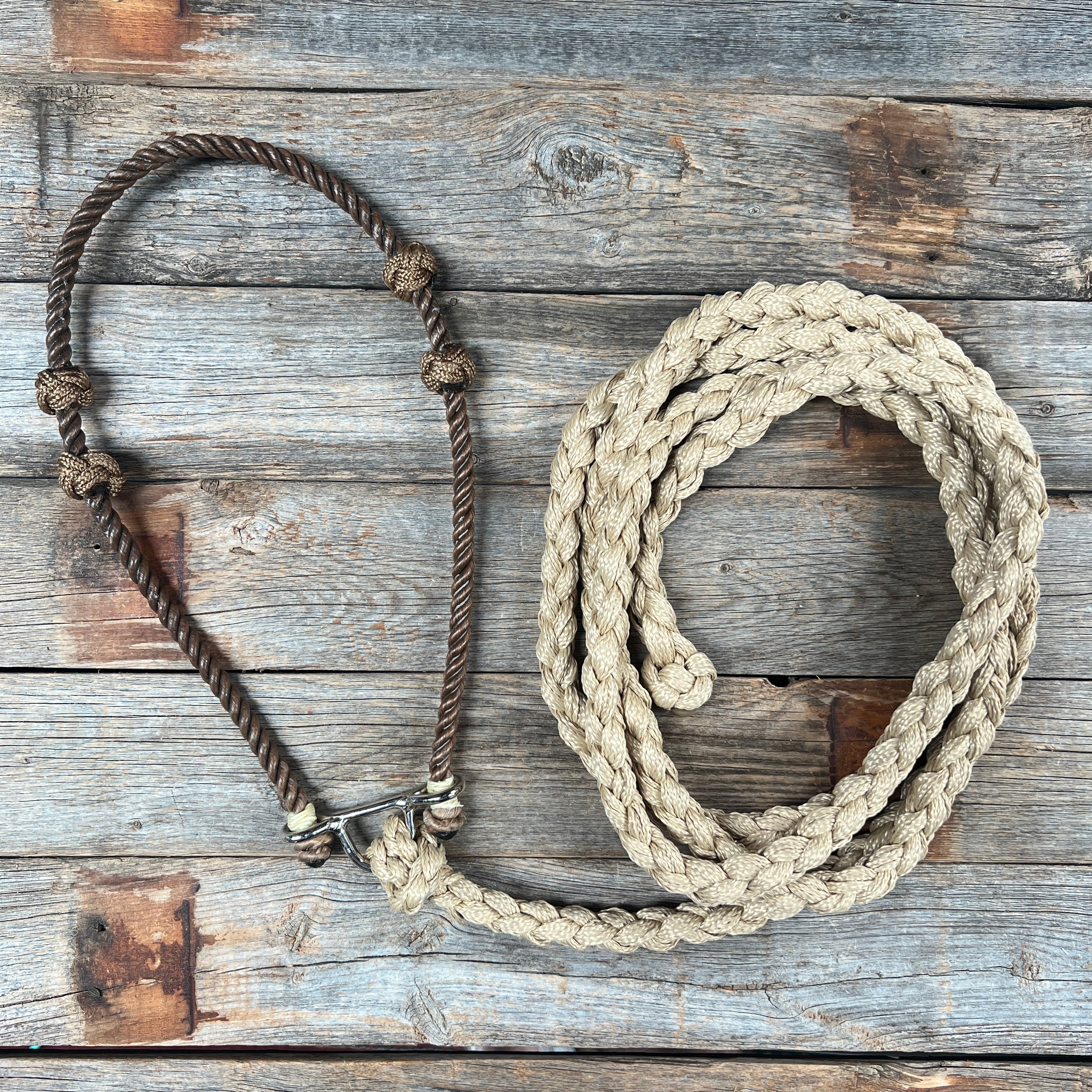 Lariat Noseband and Lead - Assorted Colors — view 10