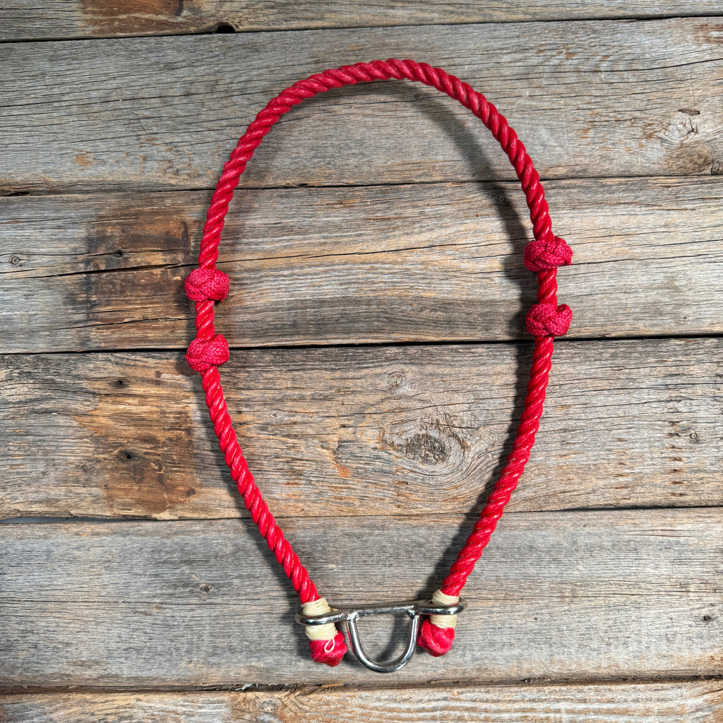 Lariat Noseband - Assorted Colors — view 8