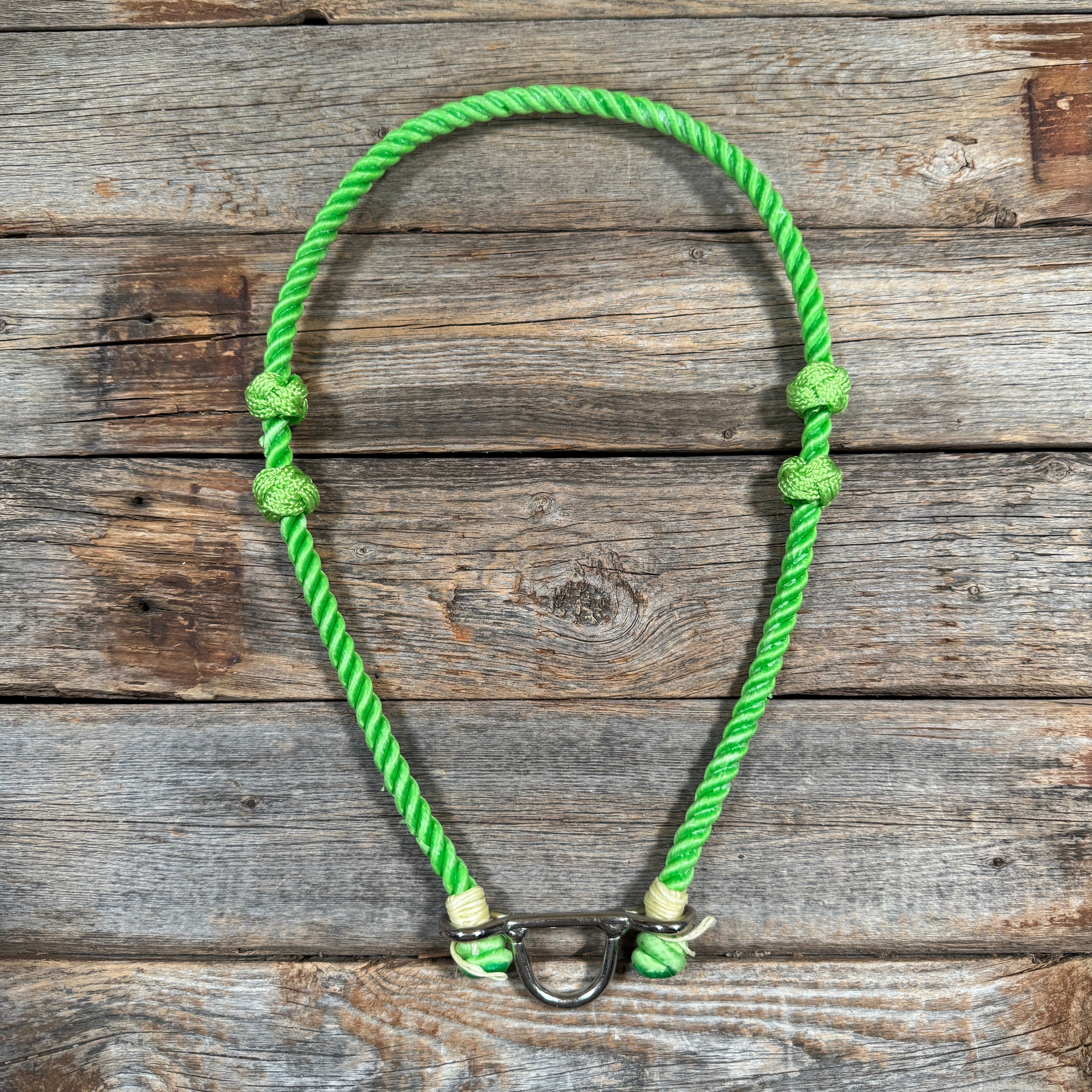 Lariat Noseband - Assorted Colors — view 3
