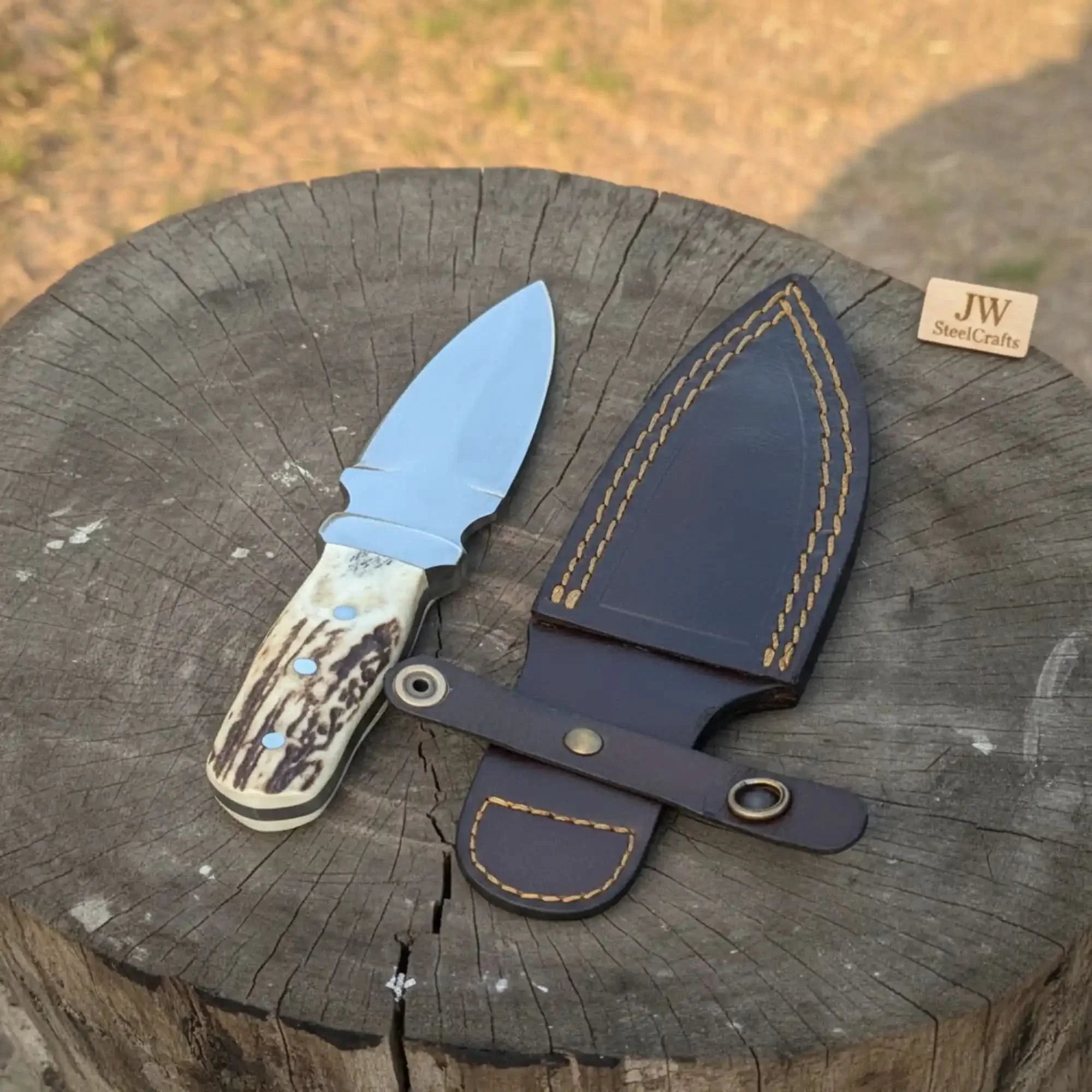 Handmade Dagger Knife with Stag Antler Handle | Full Tang Fixed Blade