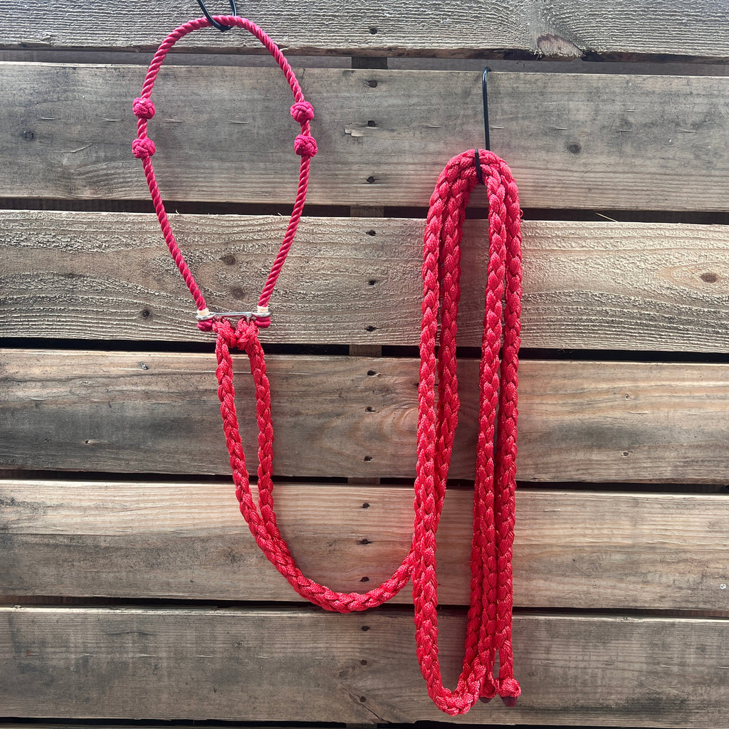 Lariat Hackamore and Double Reins - Assorted Colors — view 7