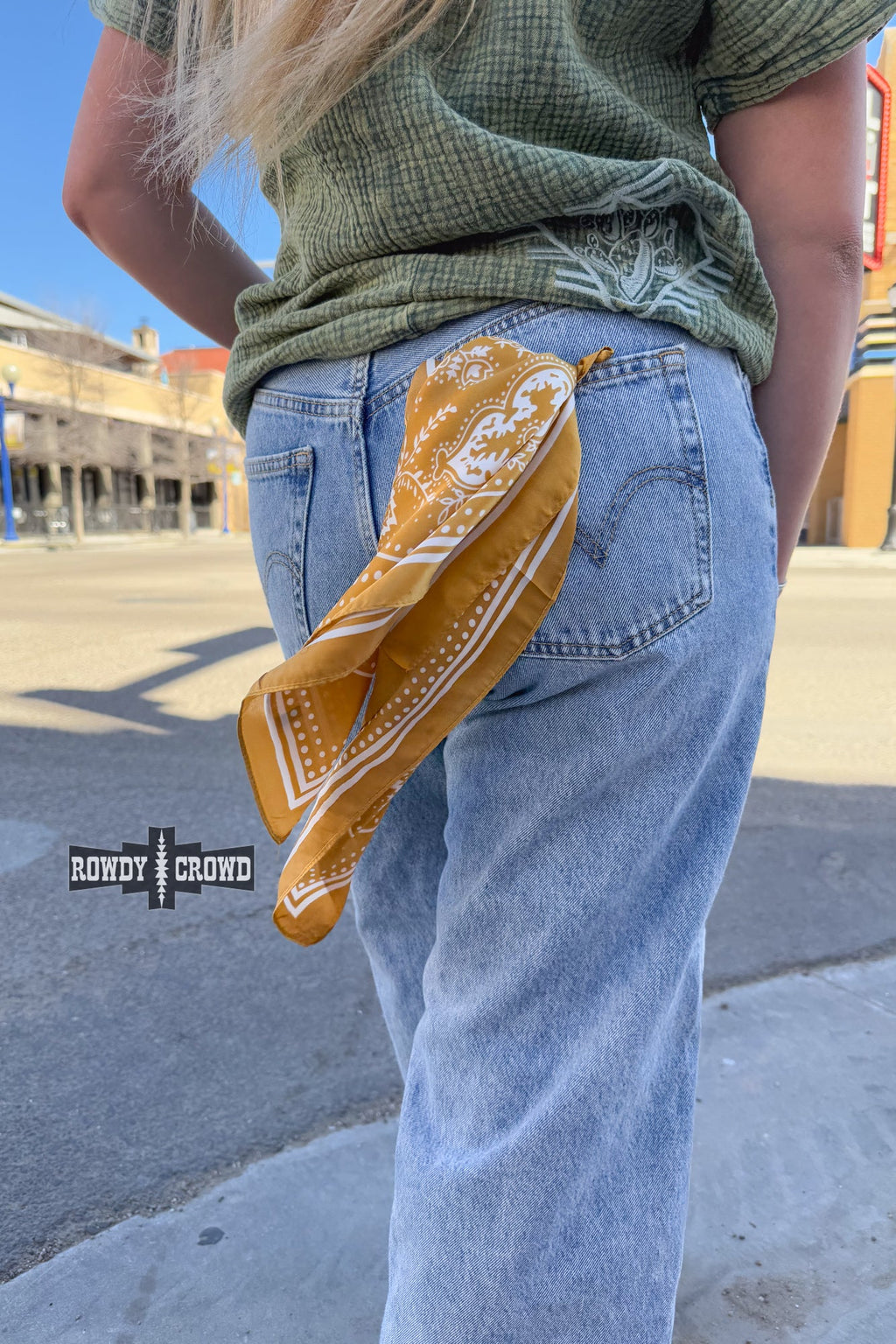 DS SMALL Buffalo Bandana Wild Rags by Rowdy Crowd Clothing - product image 4