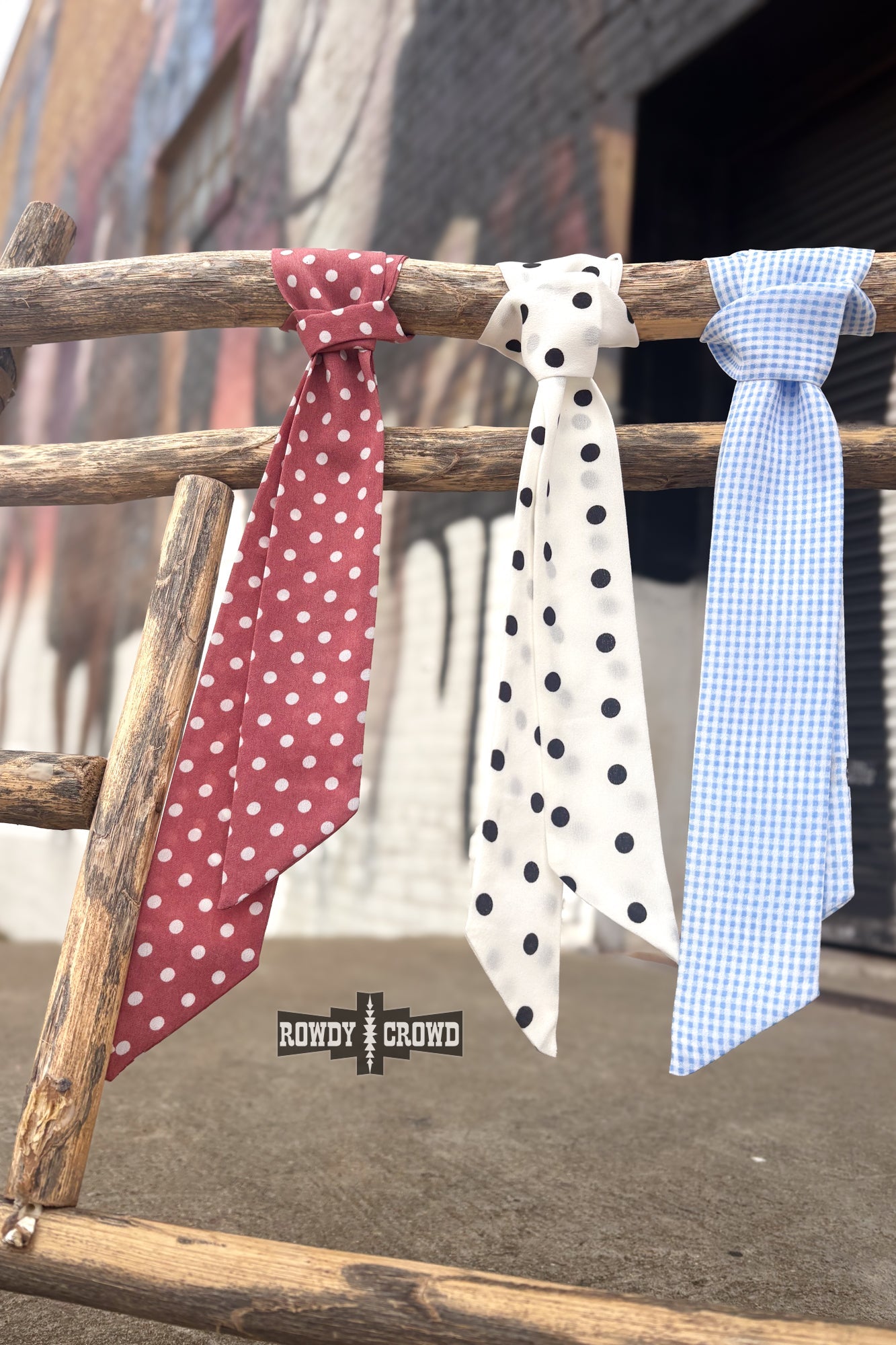 DS Punchy Polka Dot Twillies by Rowdy Crowd Clothing - product image 6