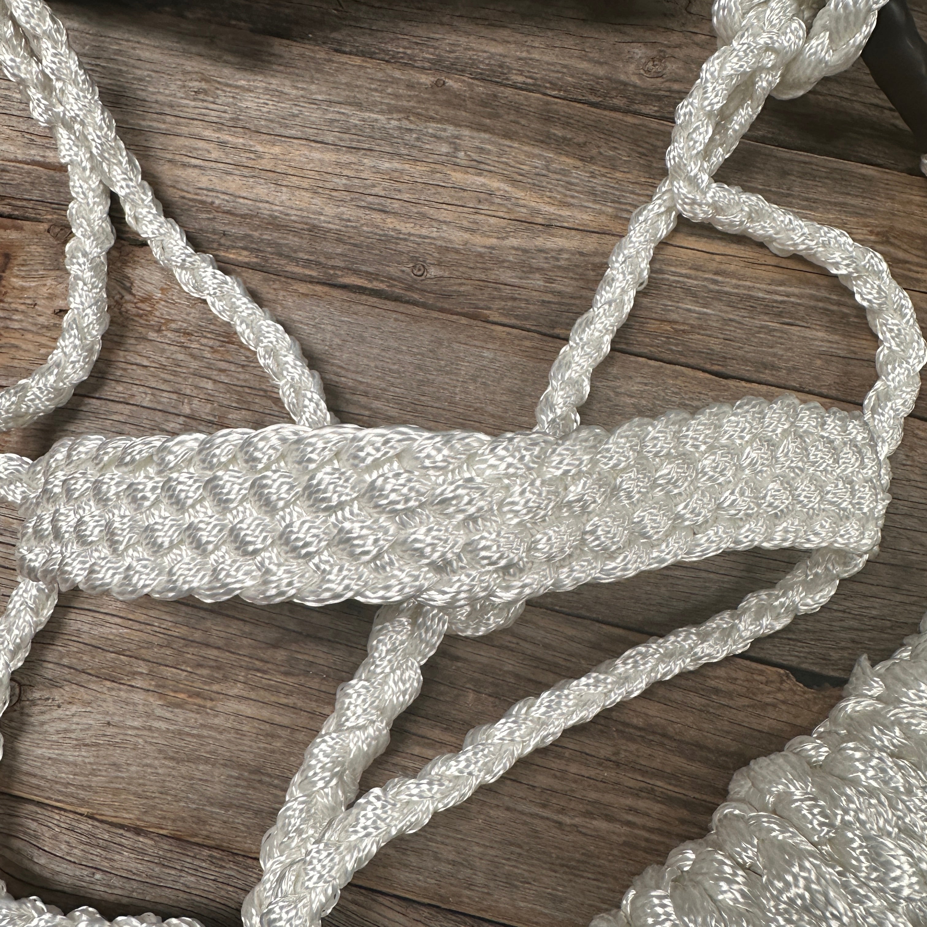 White Mule Tape Halter — view 4