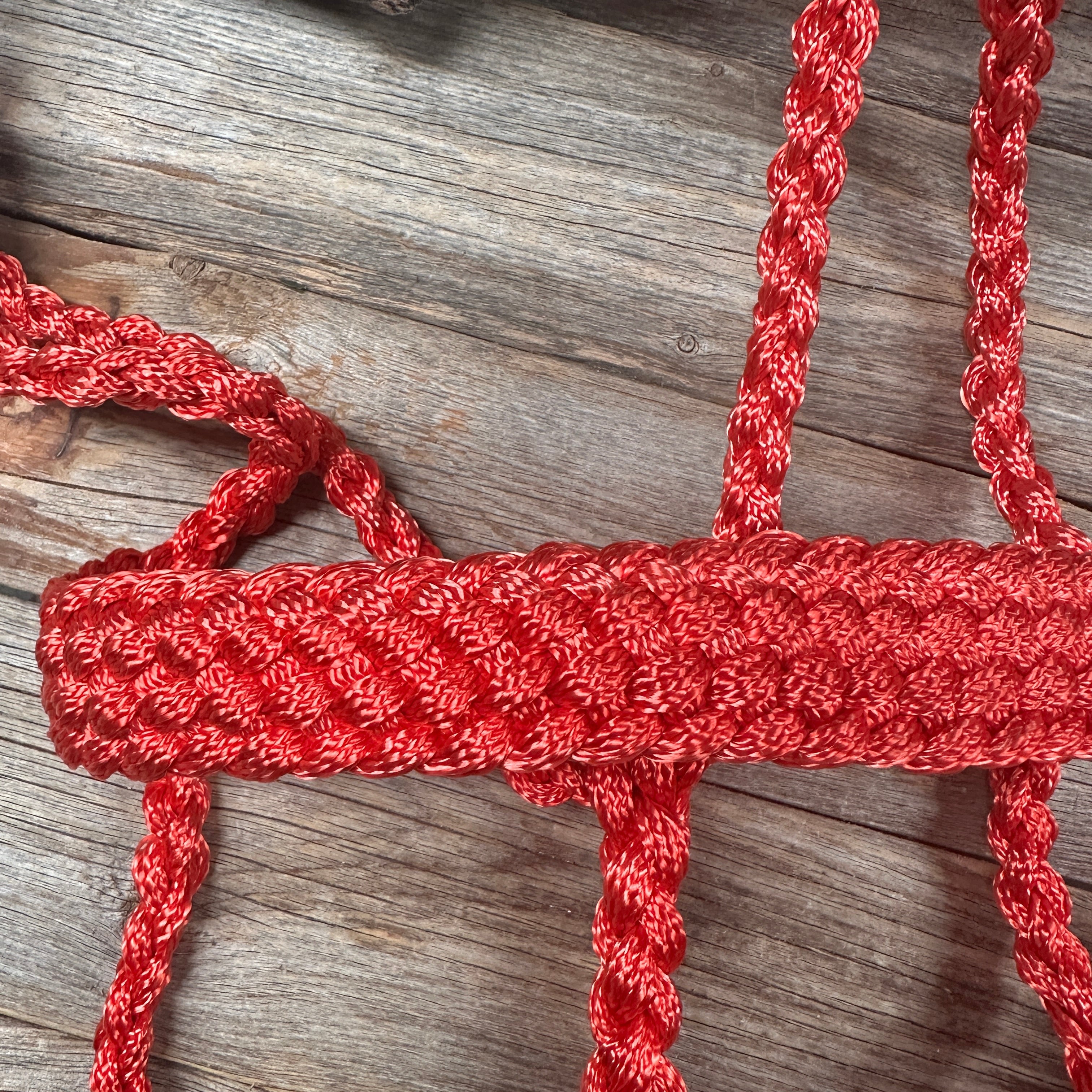 Red Mule Tape Halter — view 3
