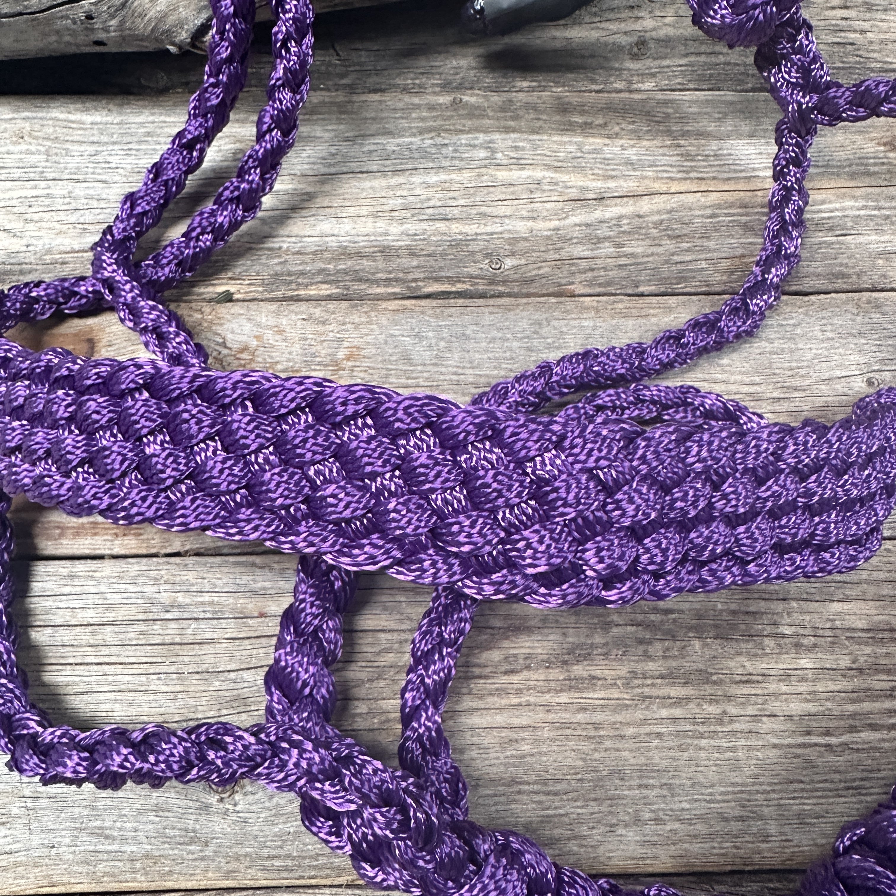 Purple Mule Tape Halter — view 4