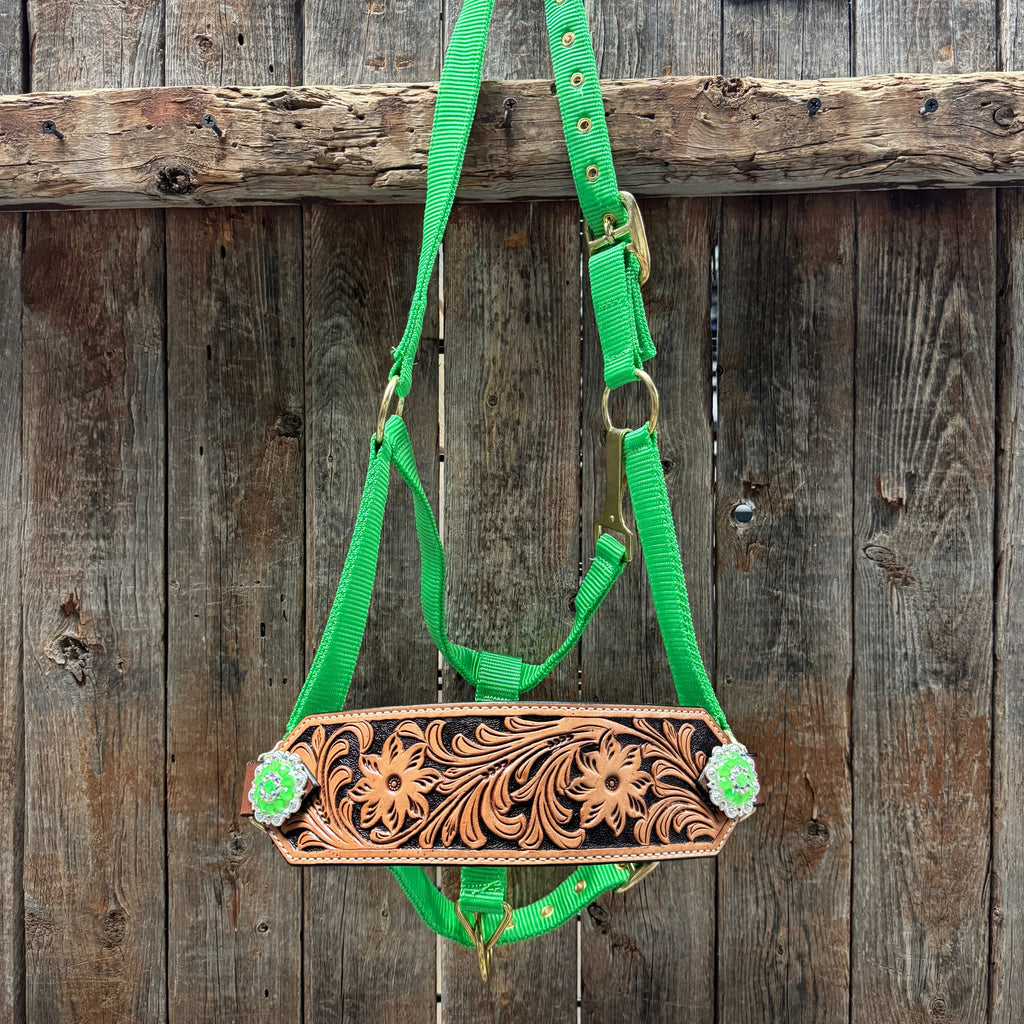 Lime Nylon Horse Halter – Bronc Noseband with Crystal Conchos NH102 — view 2