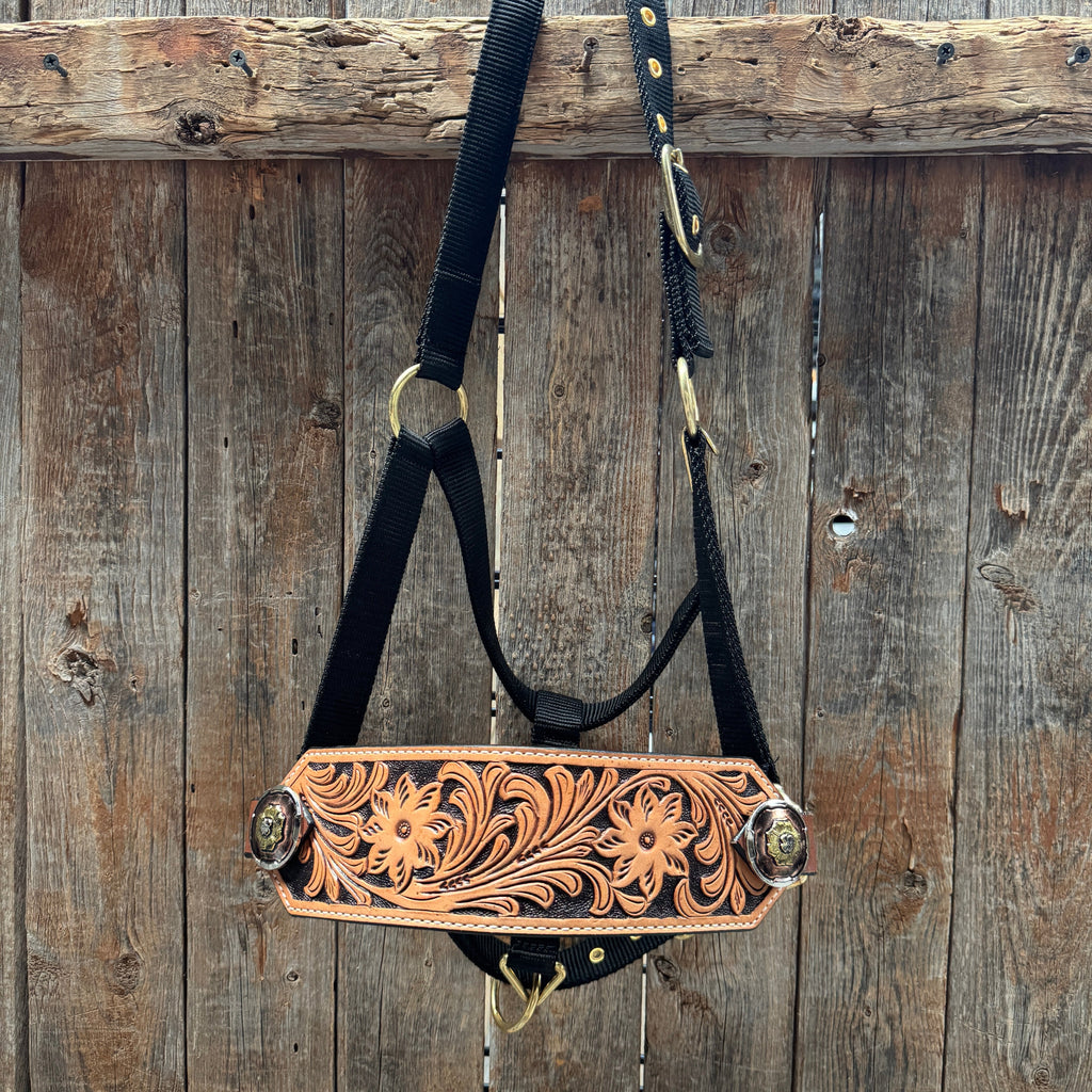 Black Nylon Horse Halter – Bronc Noseband with Western Conchos NH104 — view 2