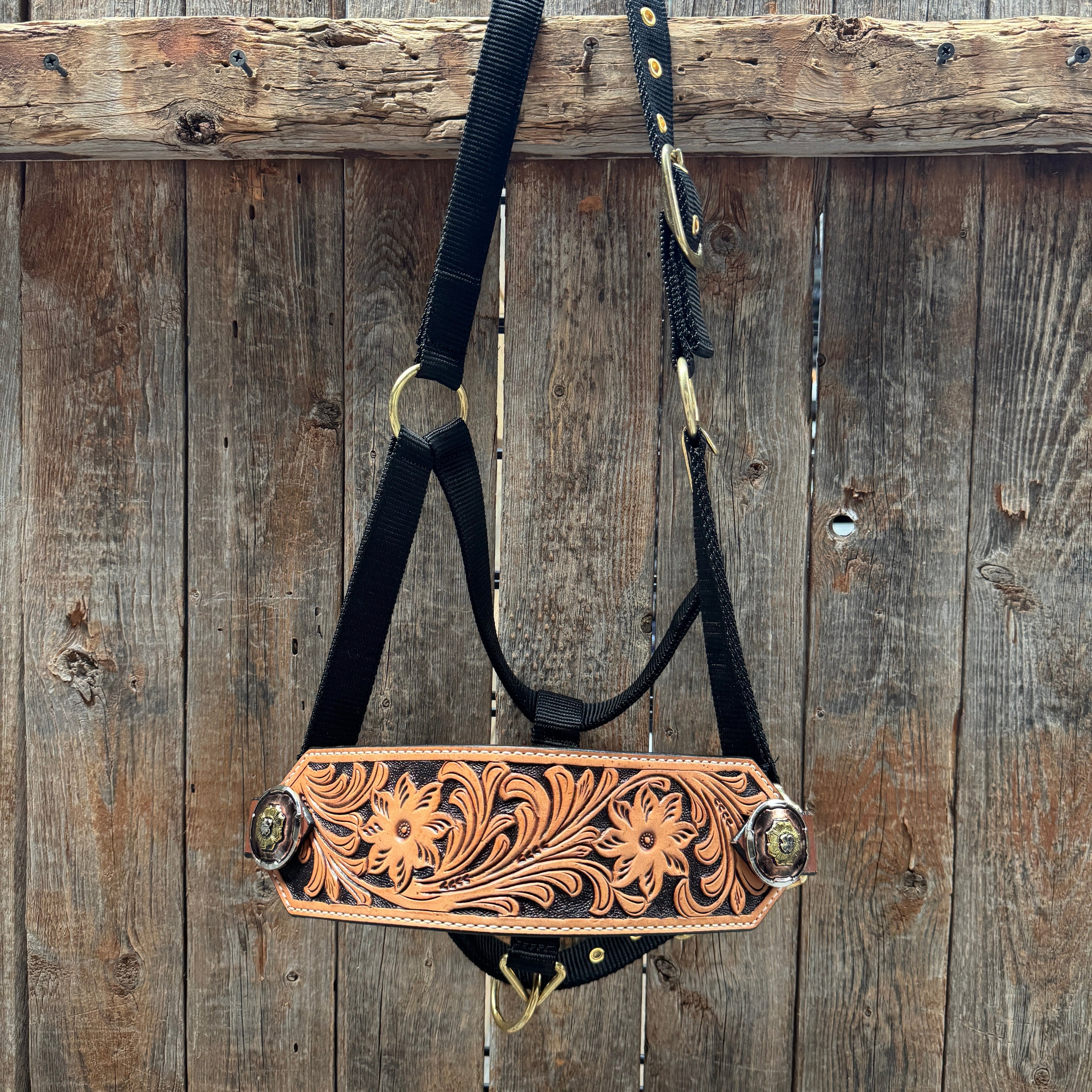 Black Nylon Horse Halter – Bronc Noseband with Western Conchos NH104 — view 2