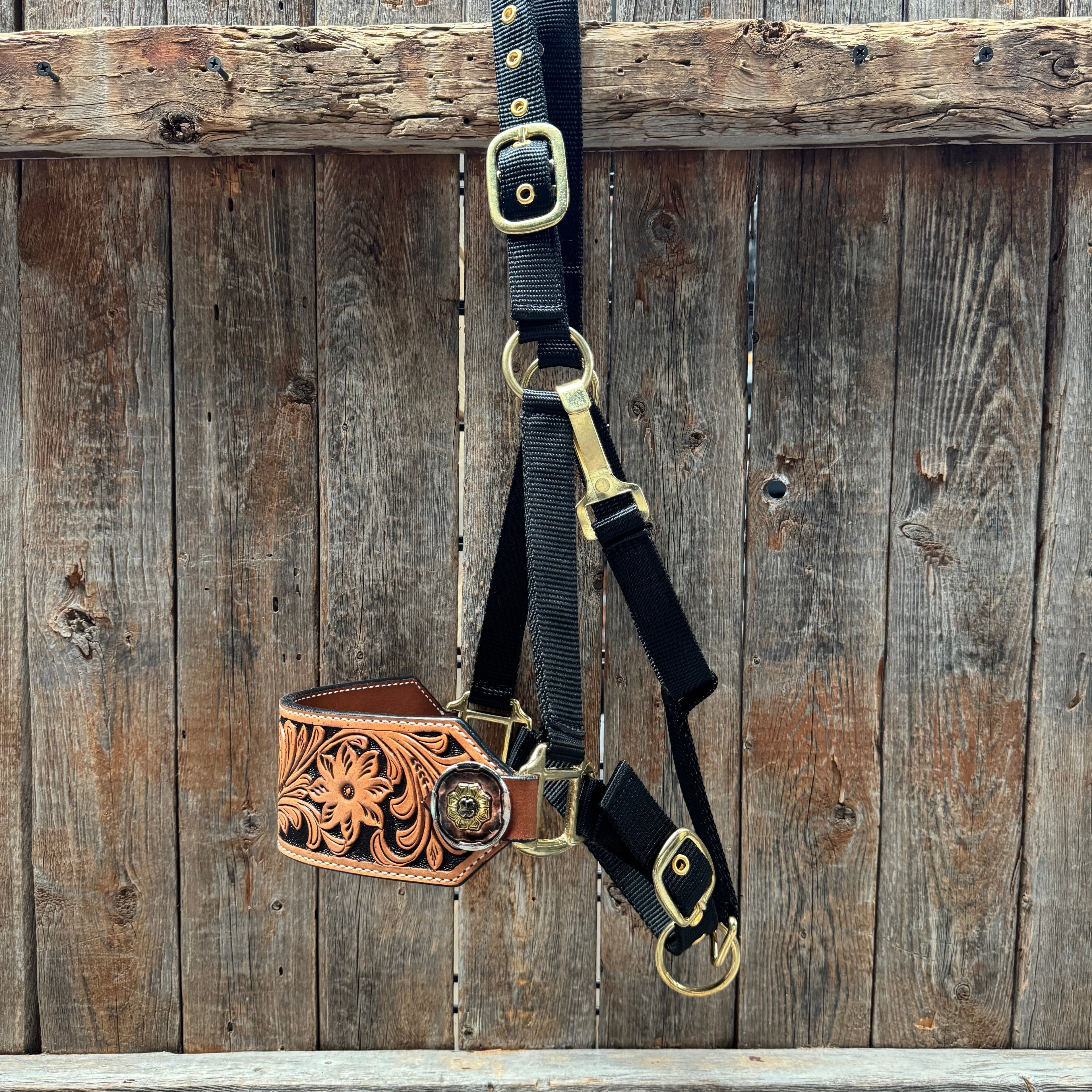 Black Nylon Horse Halter – Bronc Noseband with Western Conchos NH104