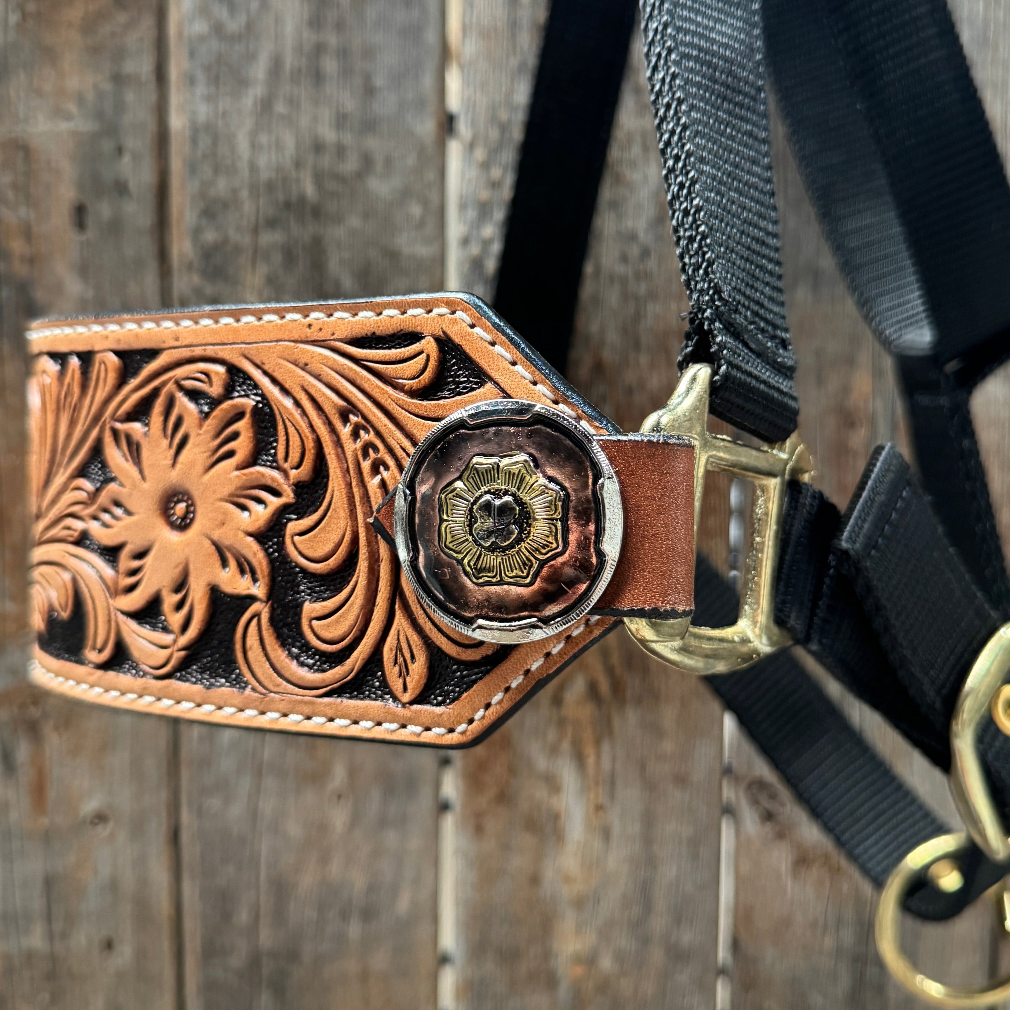 Black Nylon Horse Halter – Bronc Noseband with Western Conchos NH104 — view 4
