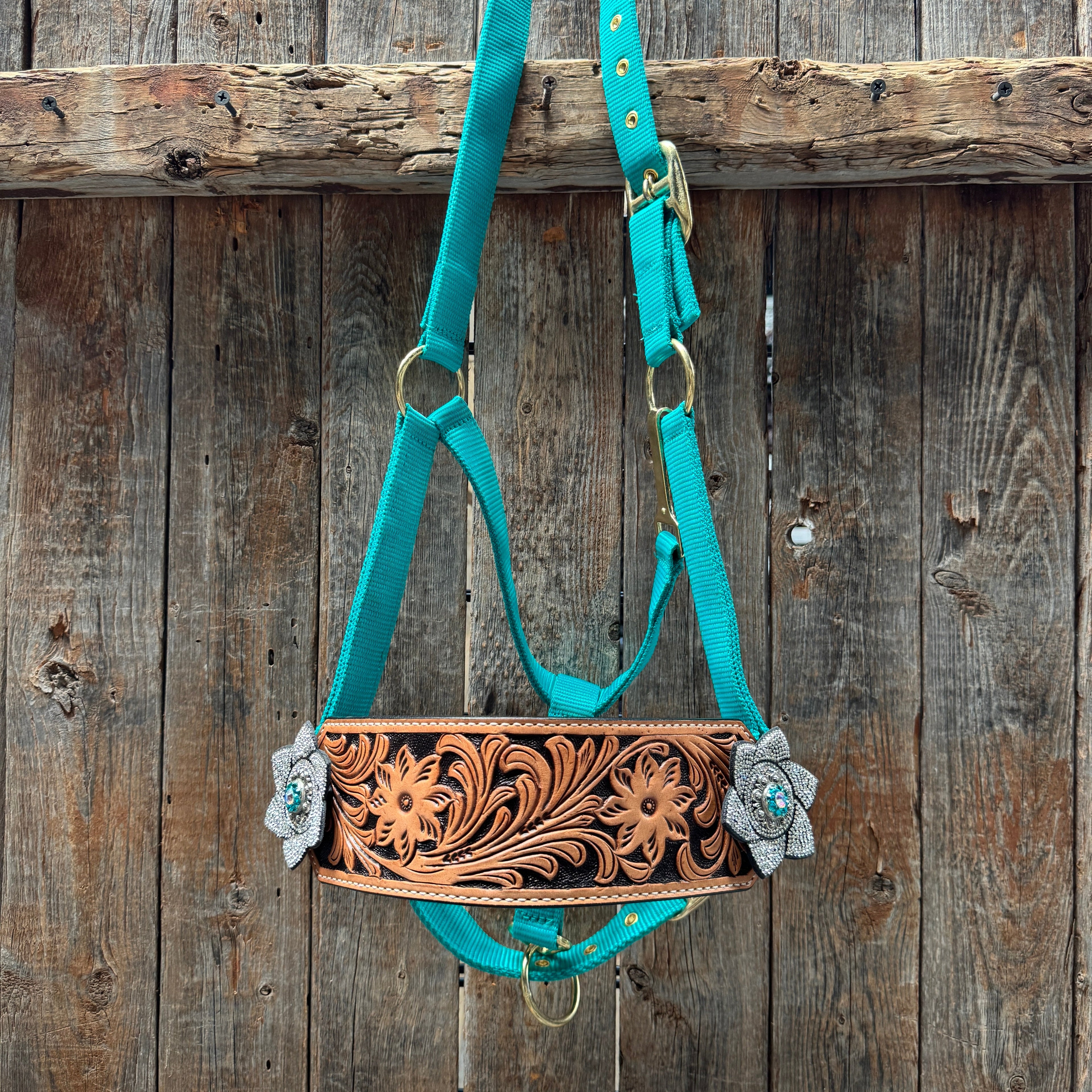 Teal Nylon Horse Halter – Bronc Noseband with Crystal Conchos NH106 — view 2