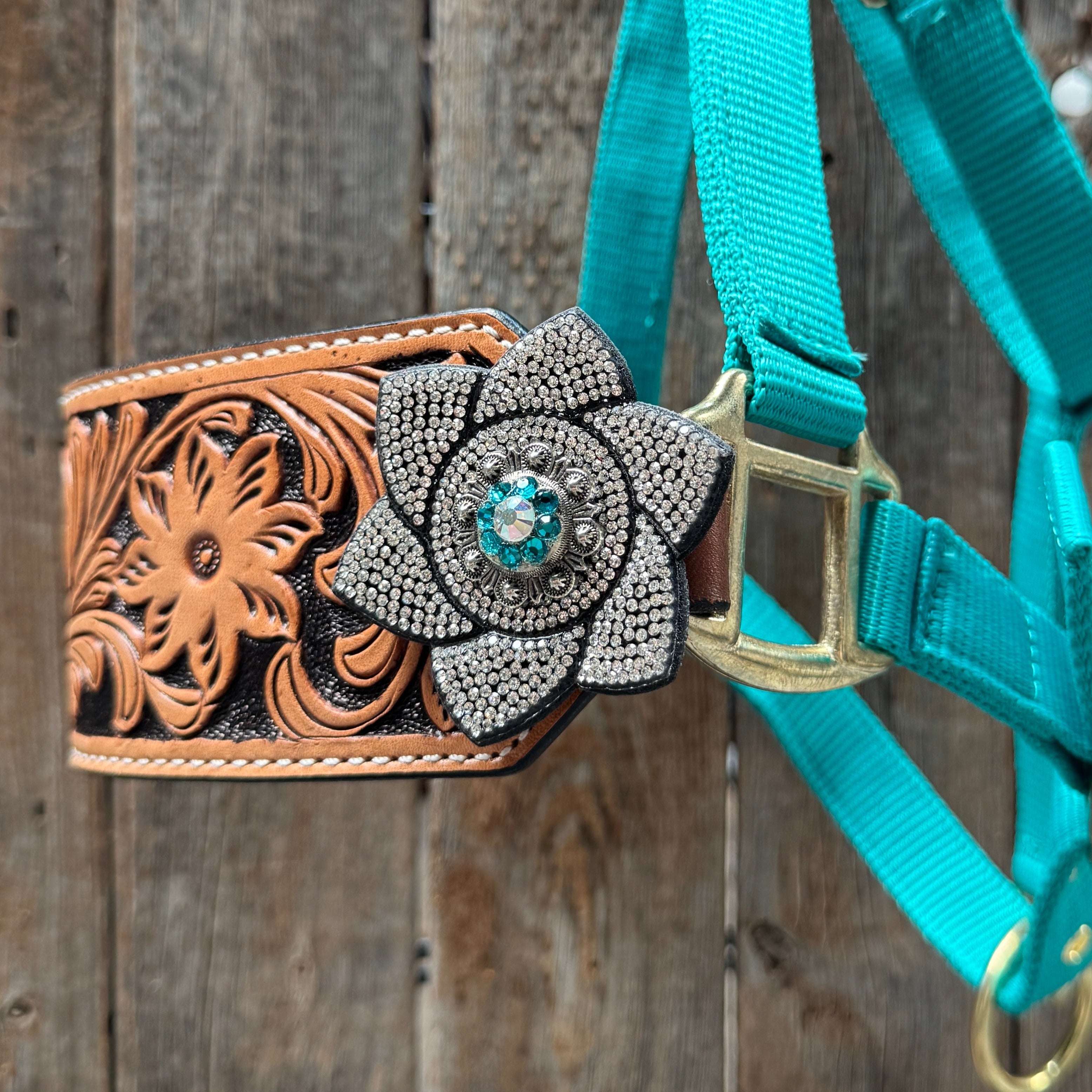 Teal Nylon Horse Halter – Bronc Noseband with Crystal Conchos NH106 — view 4