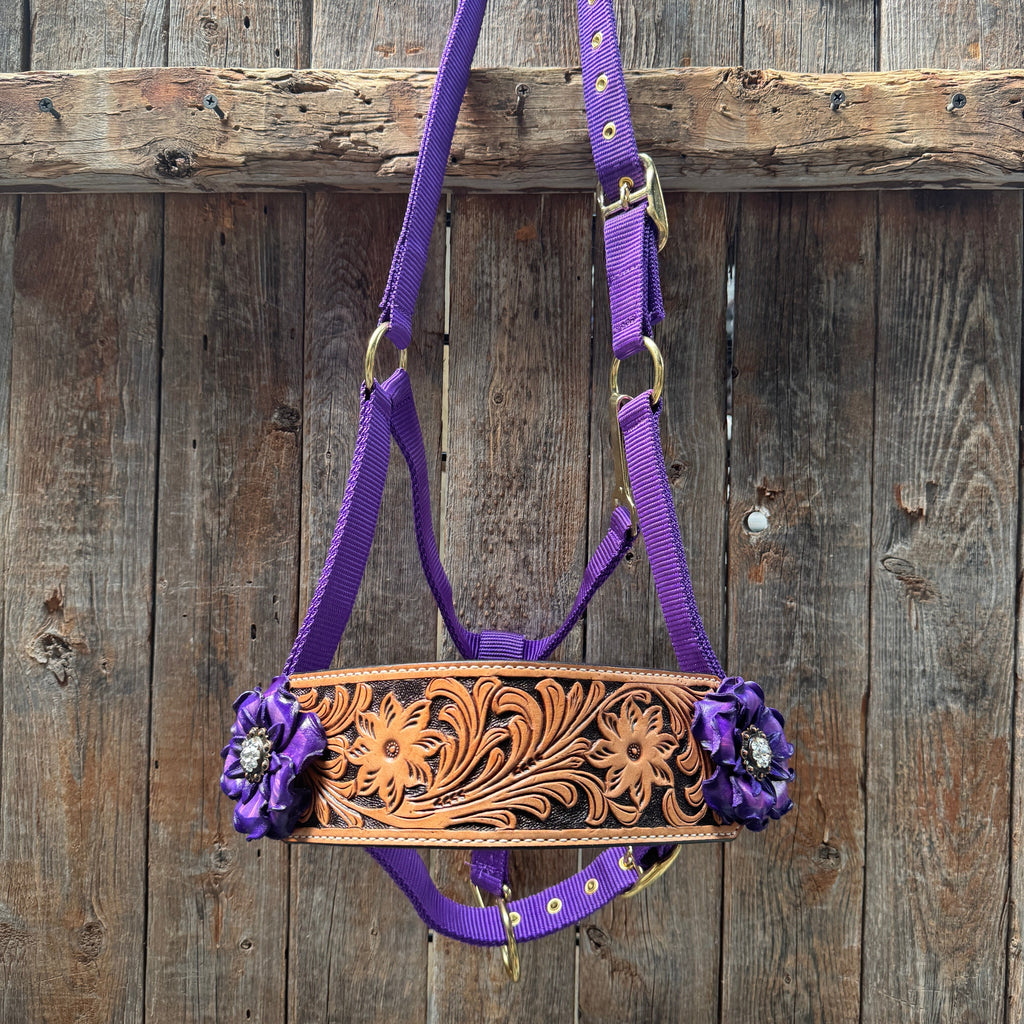 Purple Nylon Horse Halter – Bronc Noseband with Crystal Conchos NH109 — view 2