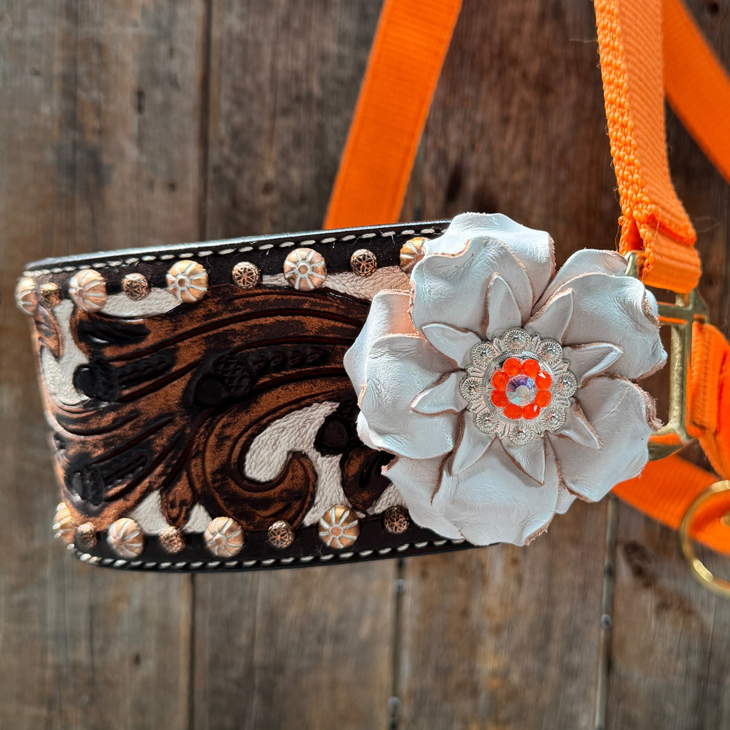 Orange Nylon Horse Halter – Bronc Noseband with Crystal Conchos NH111 — view 4