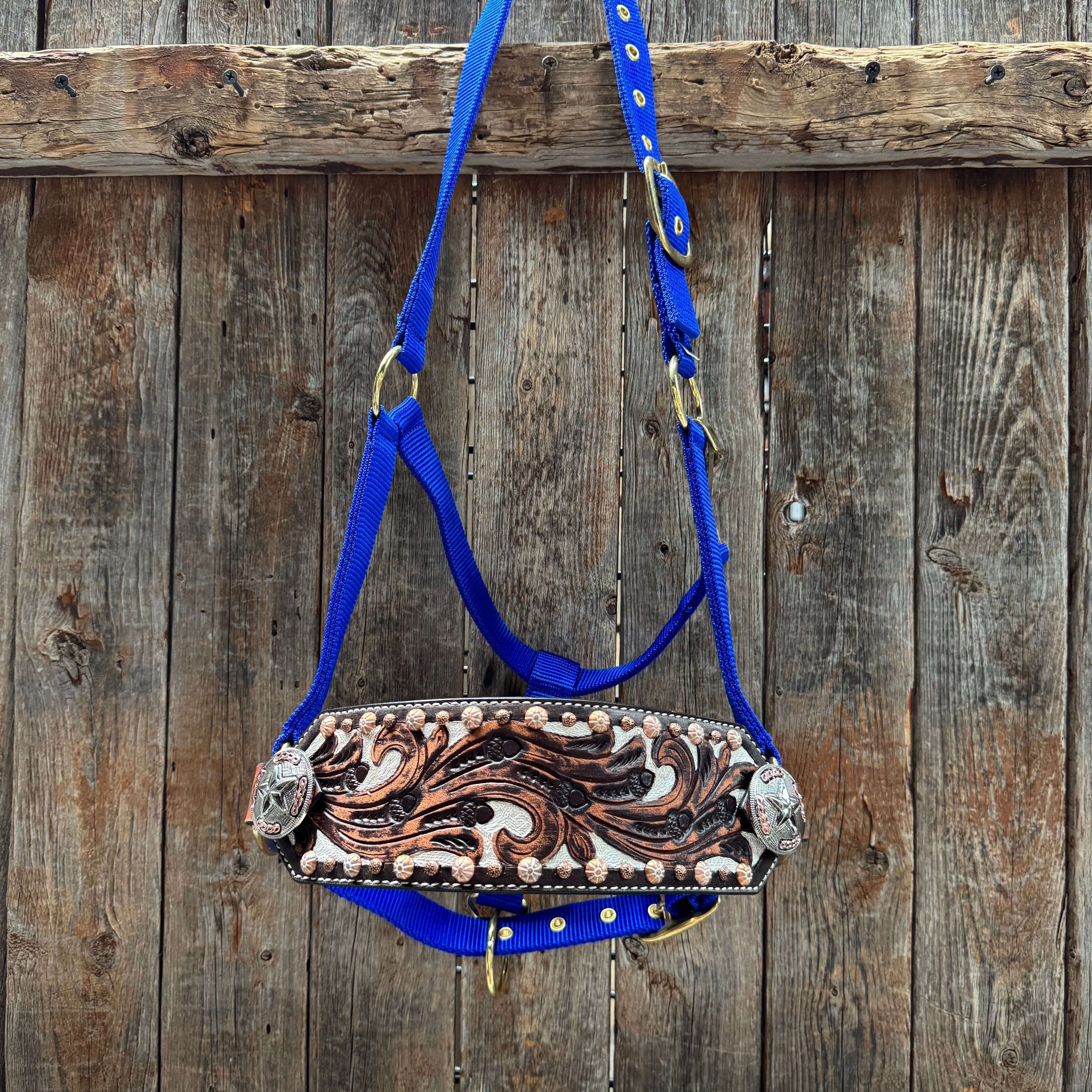 Blue Nylon Horse Halter – Bronc Noseband with Western Conchos NH112 — view 2