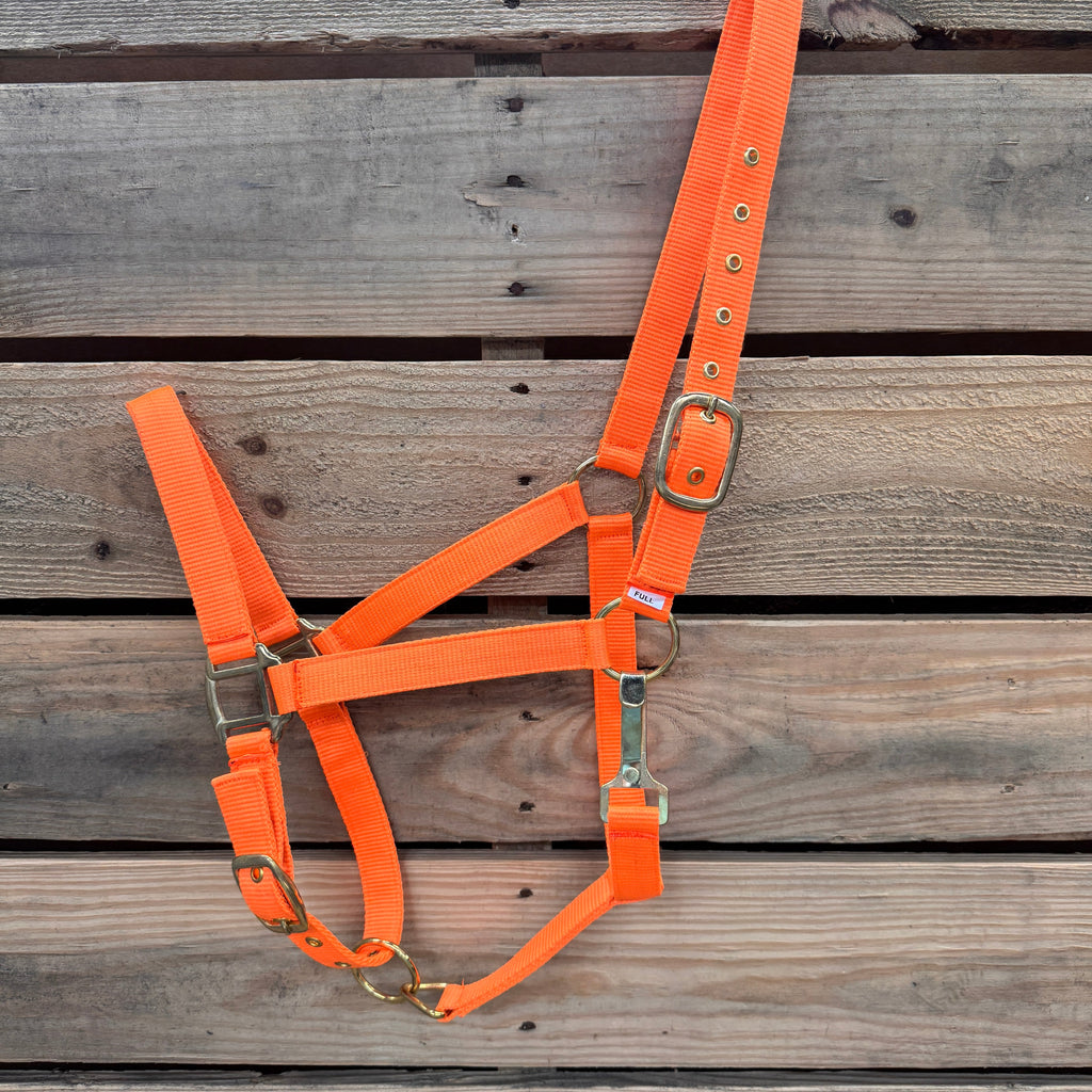 Orange Nylon Horse Halter NHORA — view 2