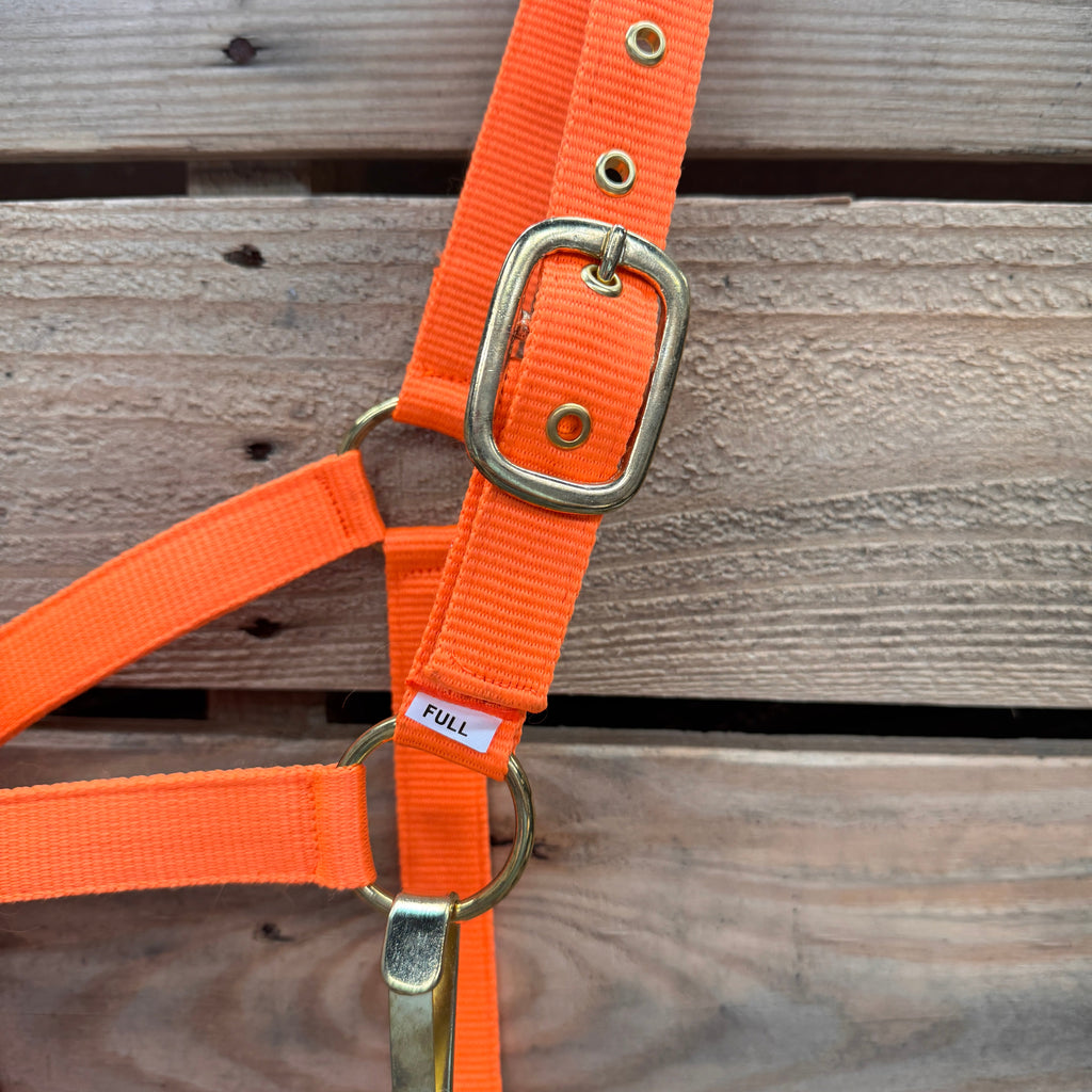 Orange Nylon Horse Halter NHORA — view 4