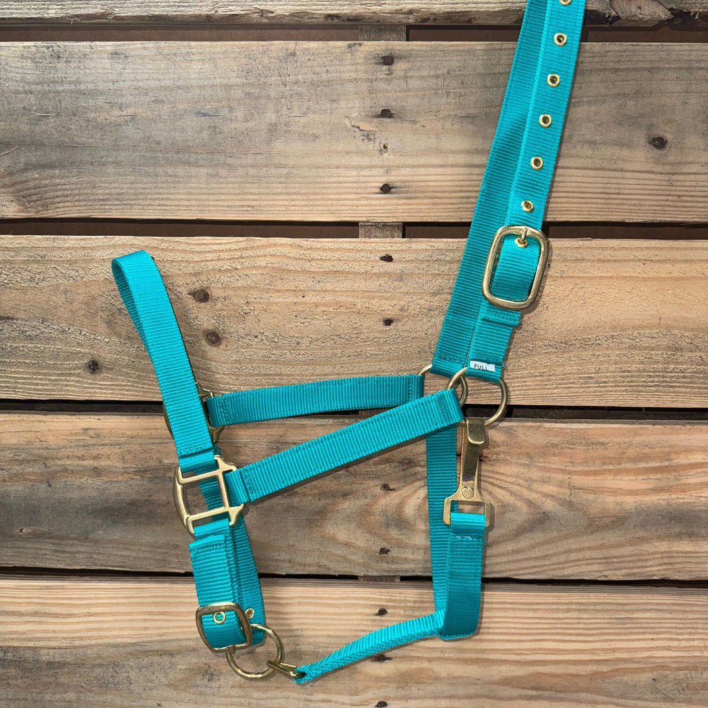 Teal Nylon Horse Halter NHTEAL — view 2