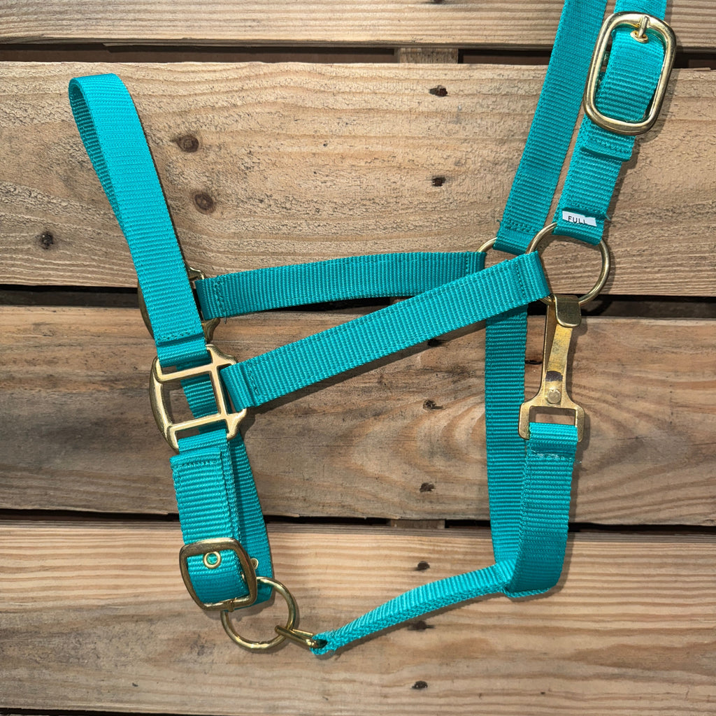 Teal Nylon Horse Halter NHTEAL — view 3