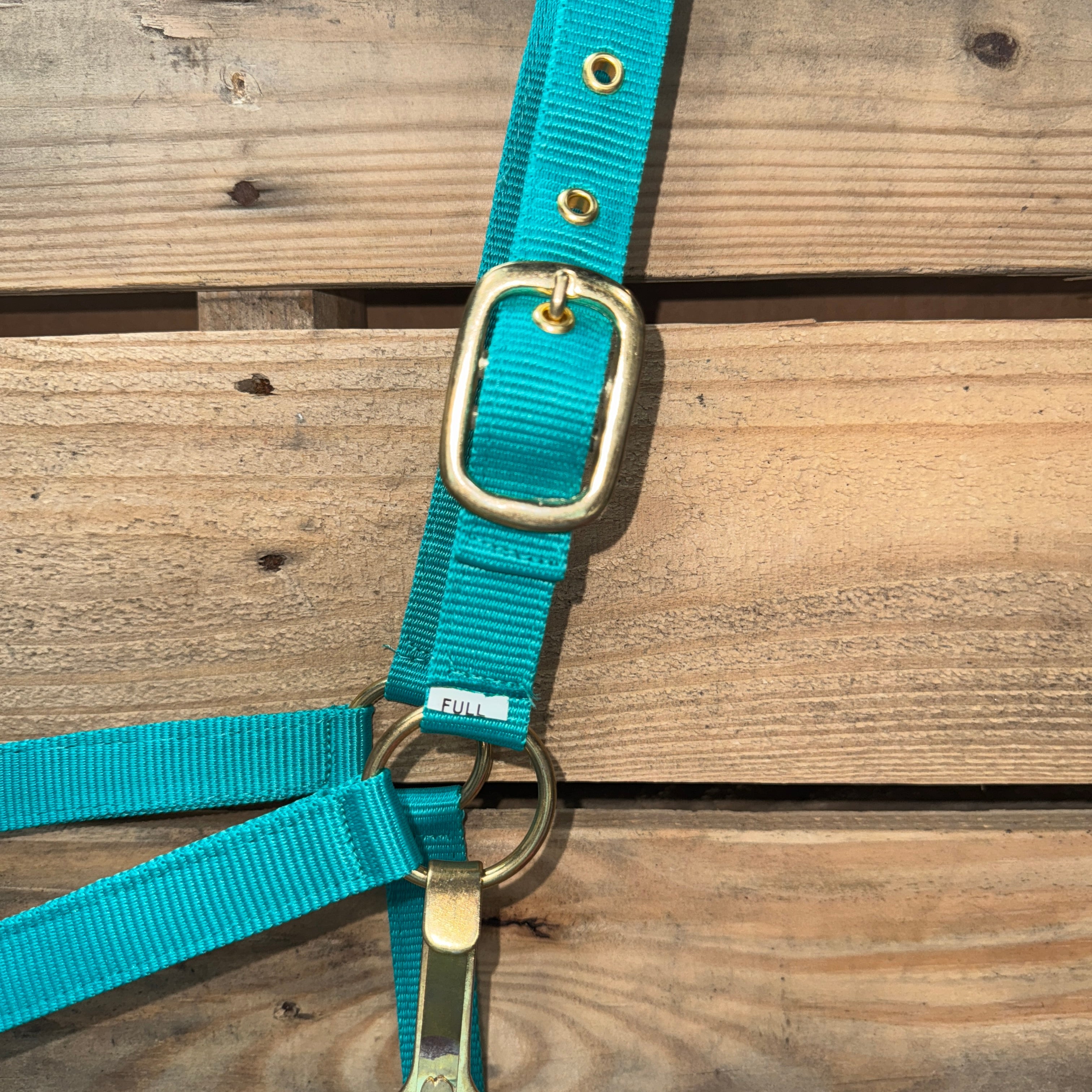 Teal Nylon Horse Halter NHTEAL — view 4