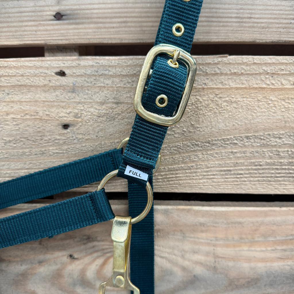 Hunter Green Nylon Horse Halter NHGRN — view 4