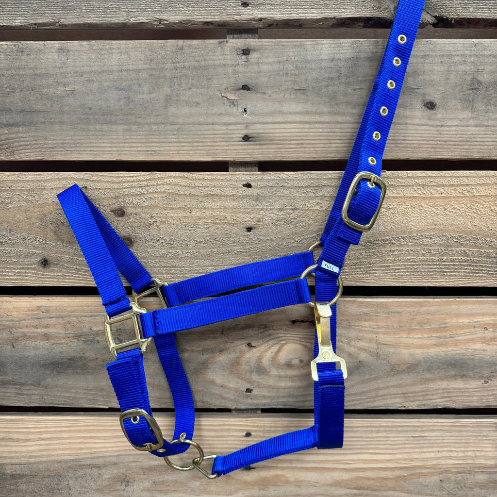 Blue Nylon Horse Halter NHBLUE — view 2