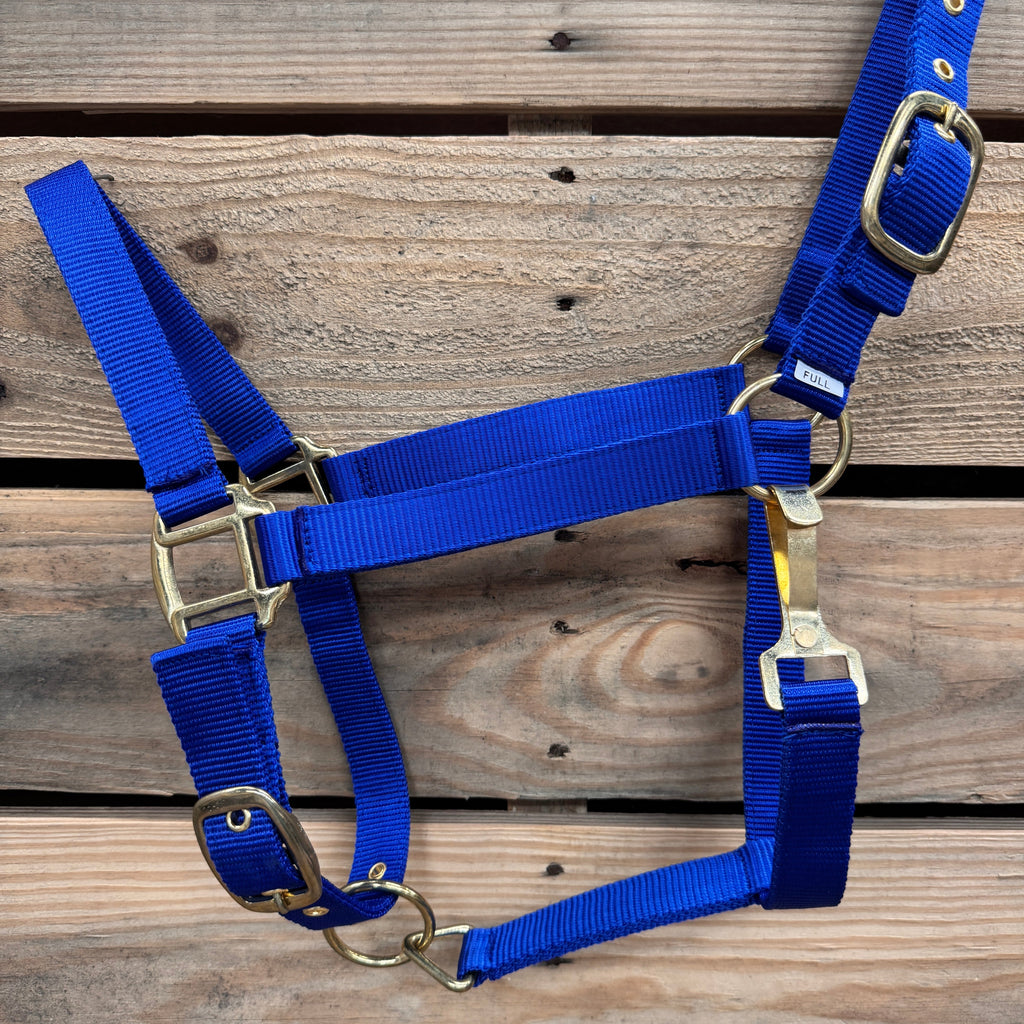 Blue Nylon Horse Halter NHBLUE — view 3