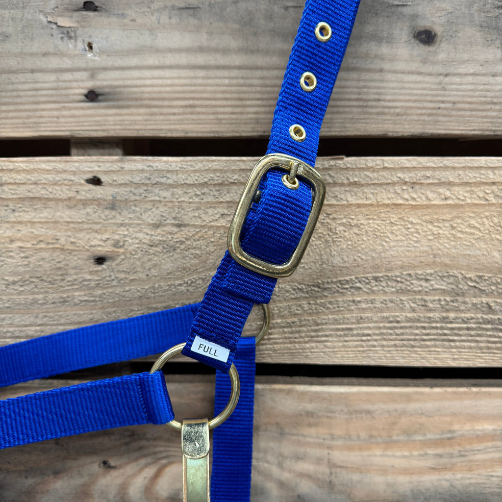 Blue Nylon Horse Halter NHBLUE — view 4