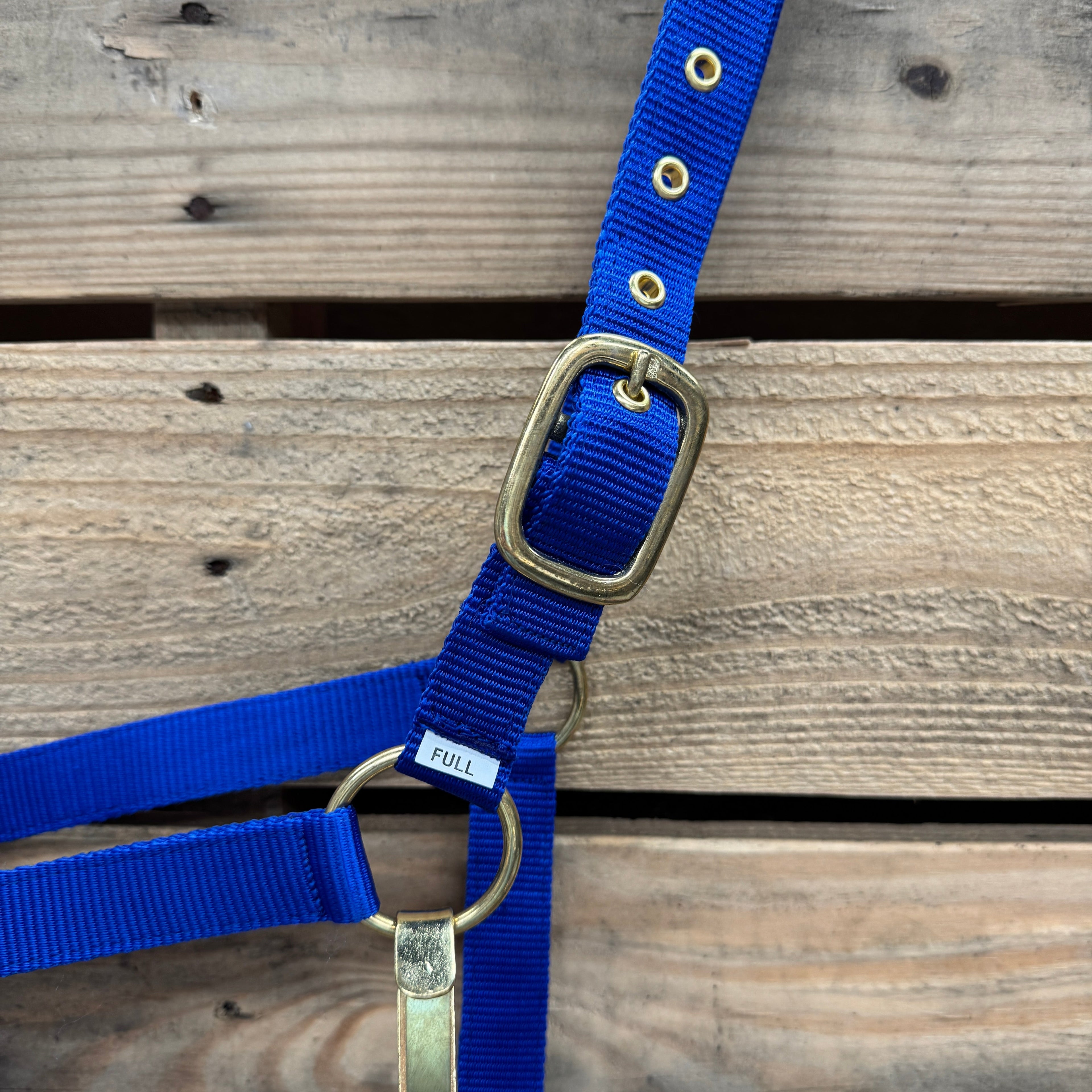 Blue Nylon Horse Halter NHBLUE — view 4