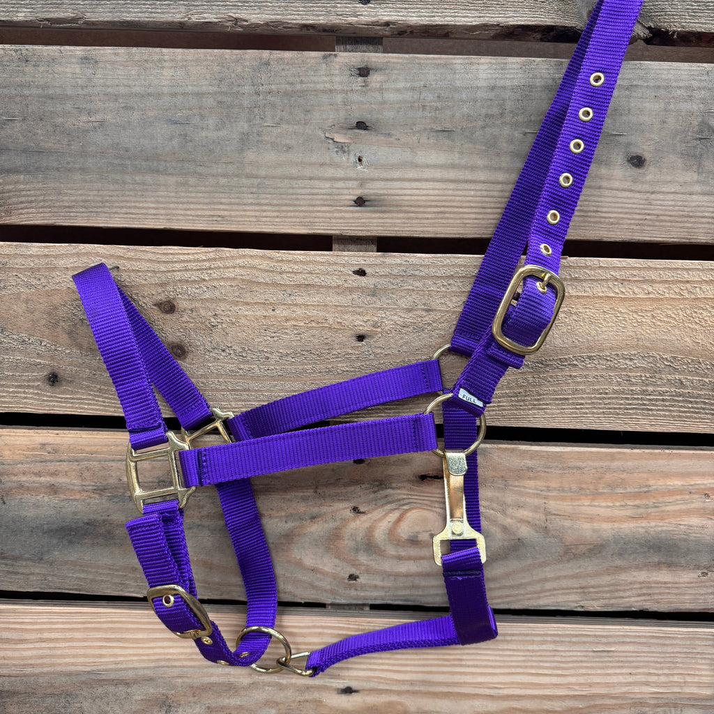 Purple Nylon Horse Halter NHPUR — view 2