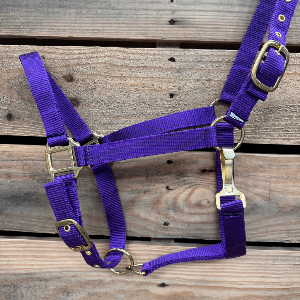 Purple Nylon Horse Halter NHPUR — view 3