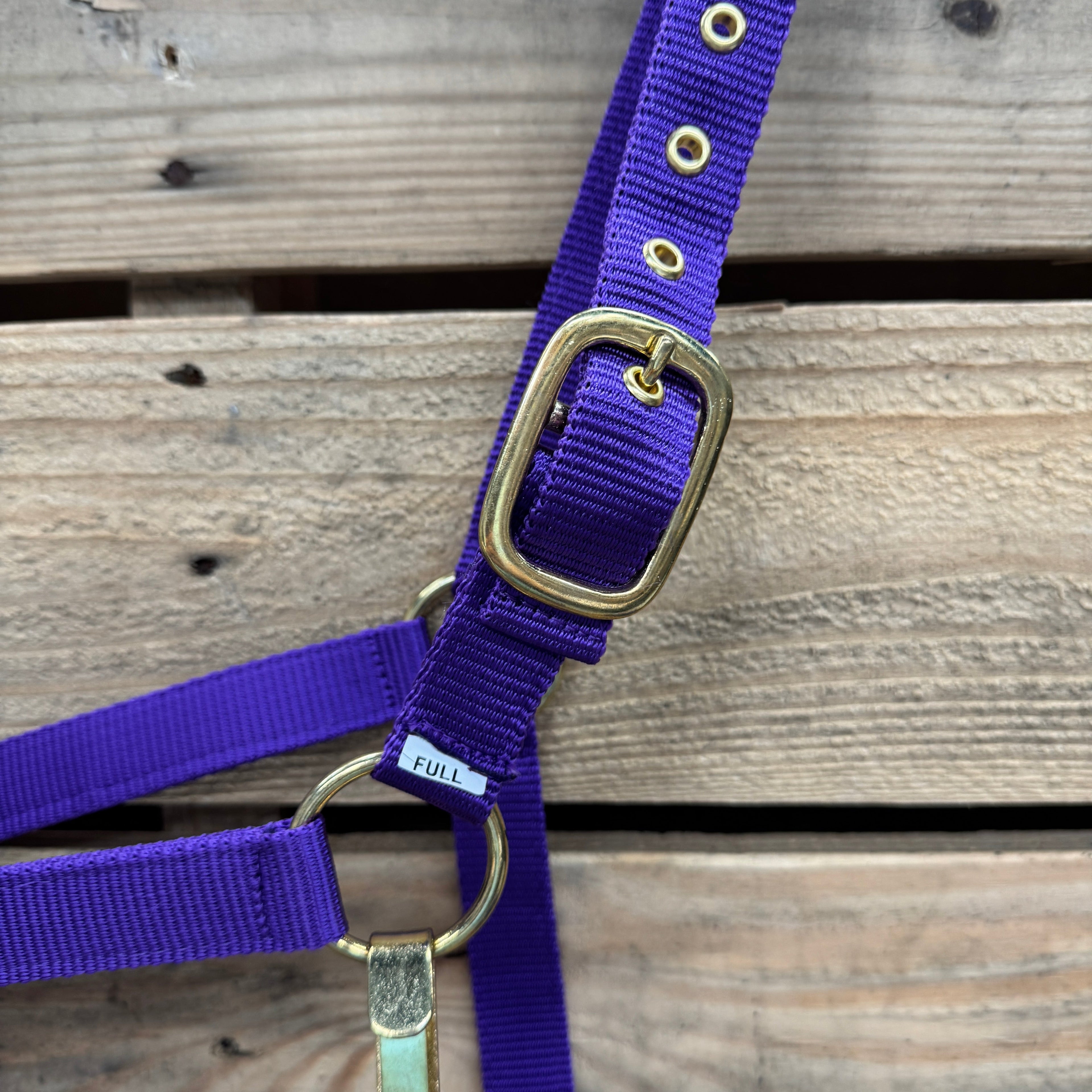 Purple Nylon Horse Halter NHPUR — view 4