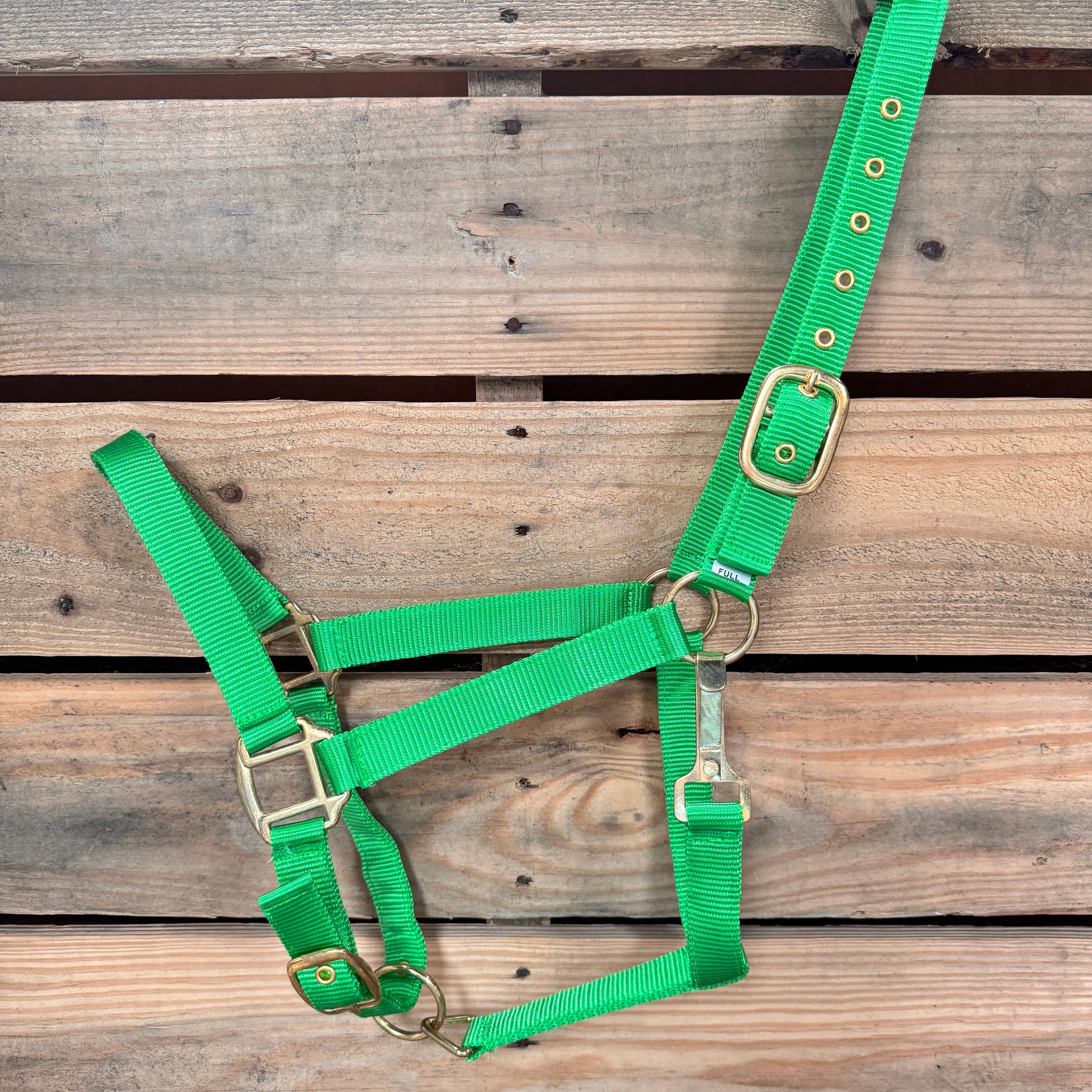 Lime Nylon Horse Halter NHNGN — view 2