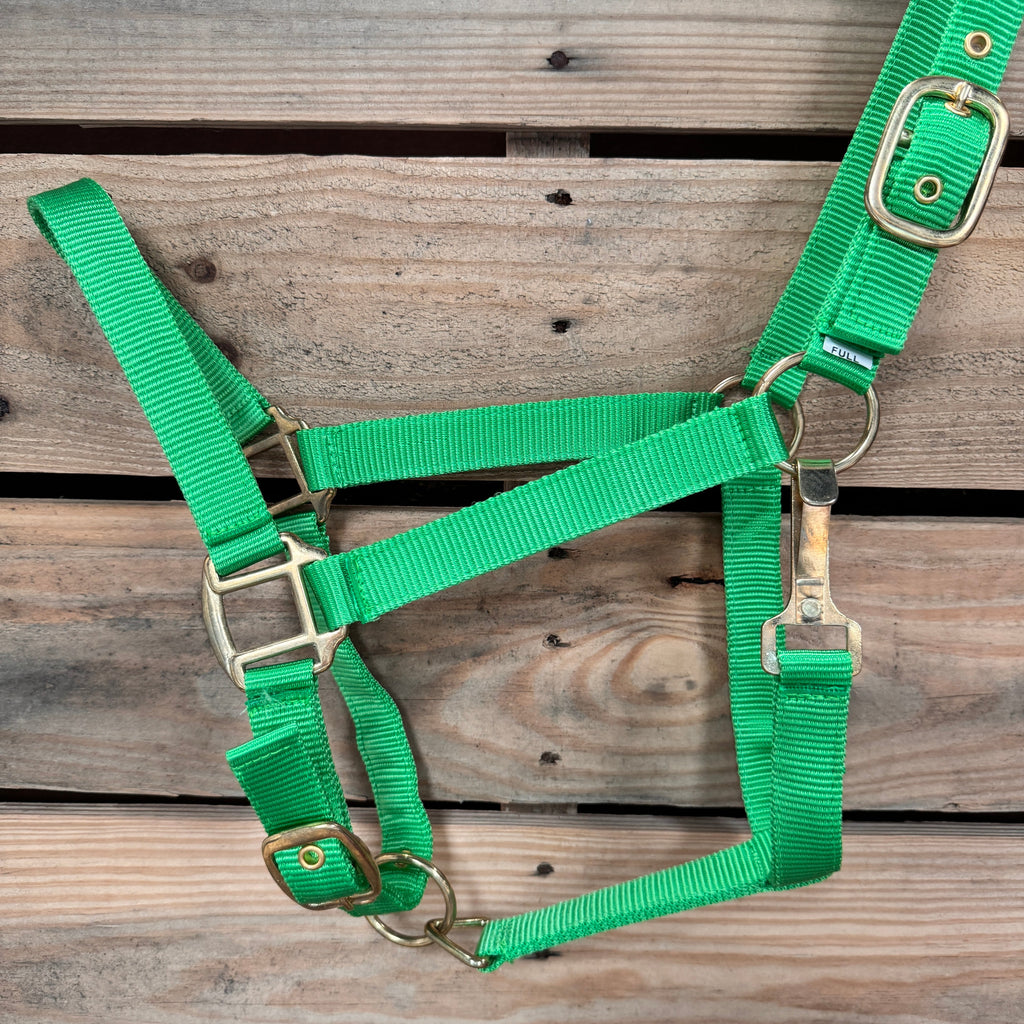 Lime Nylon Horse Halter NHNGN — view 3