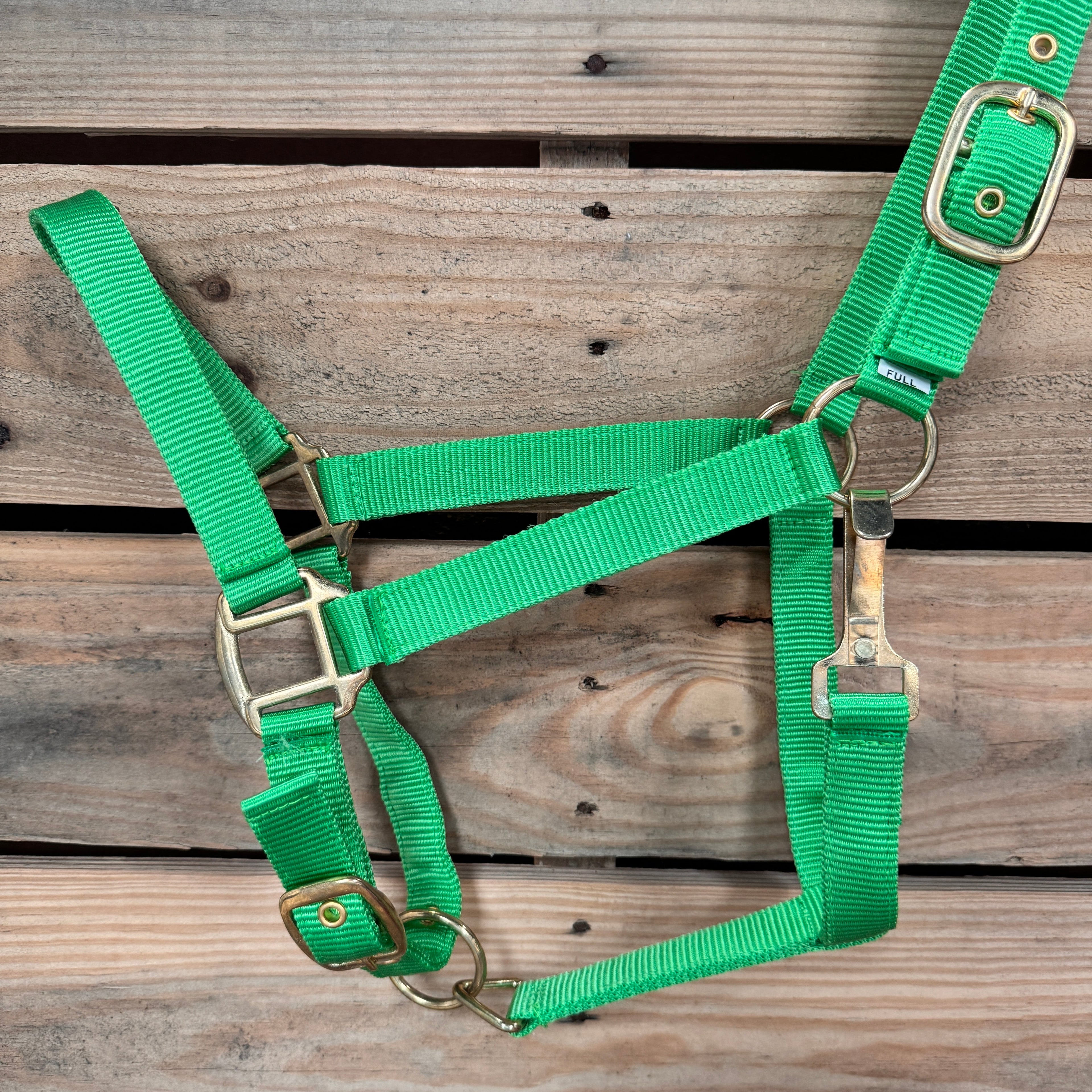 Lime Nylon Horse Halter NHNGN — view 3