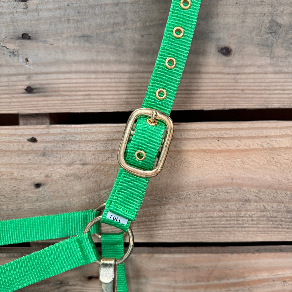 Lime Nylon Horse Halter NHNGN — view 4