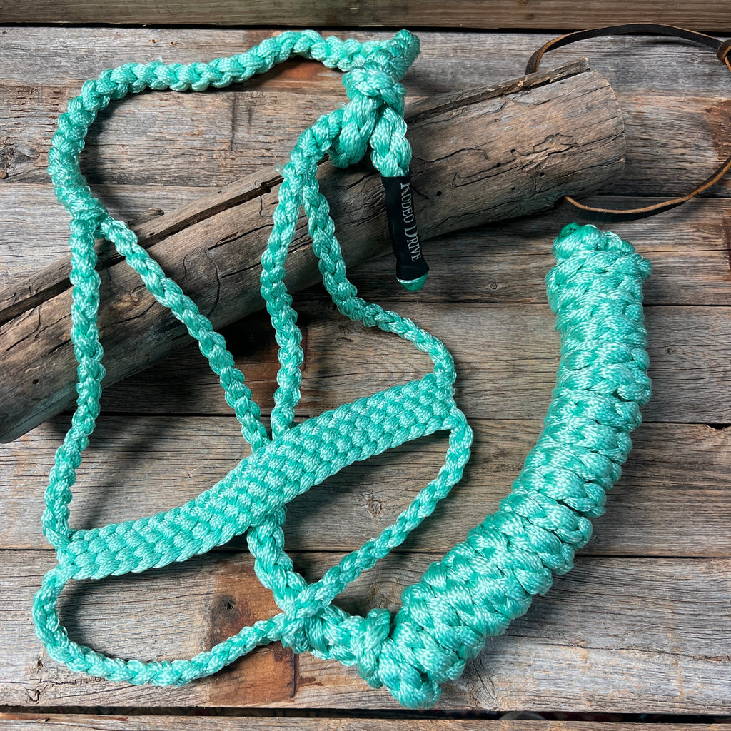 Turquoise Mule Tape Halter — view 2