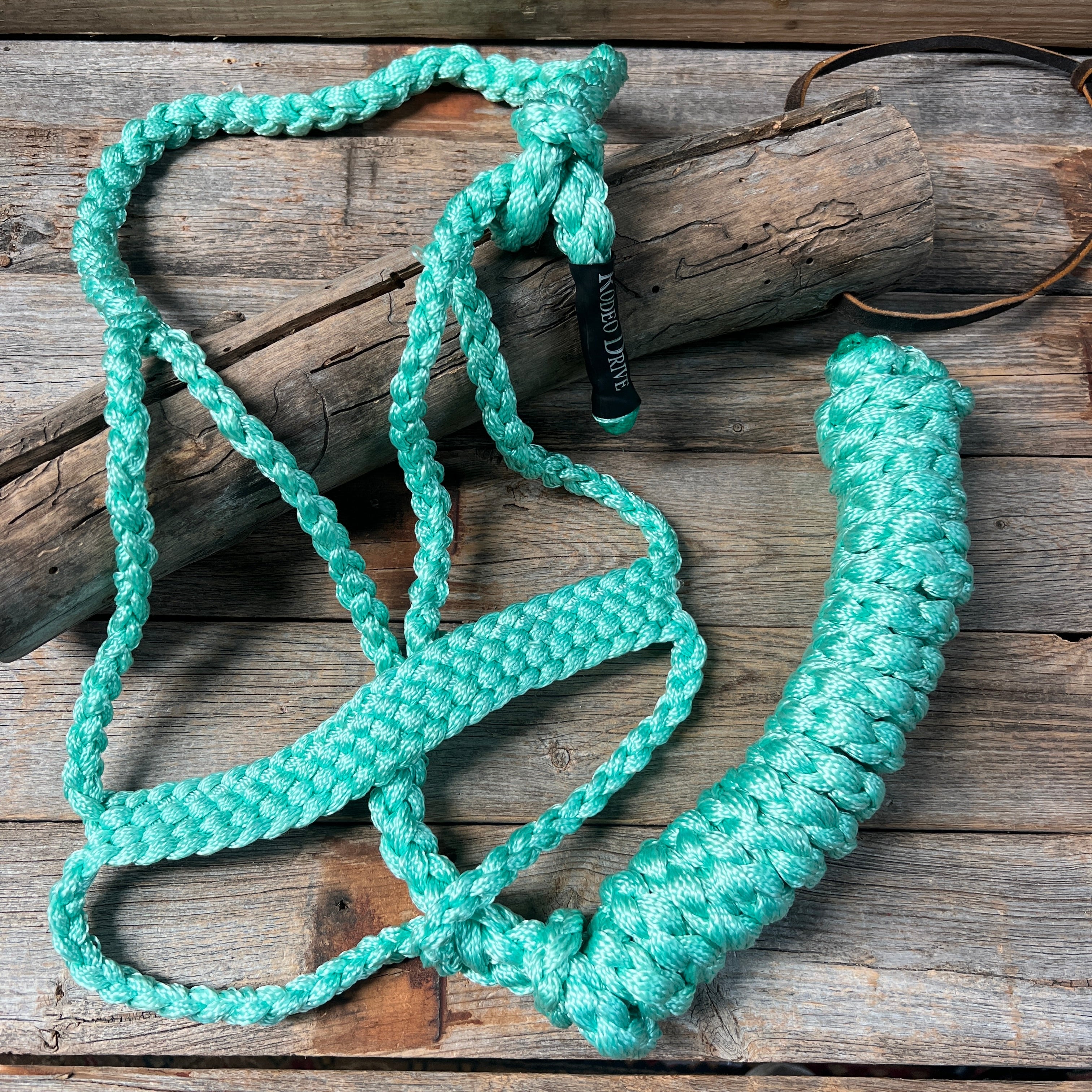 Turquoise Mule Tape Halter — view 2
