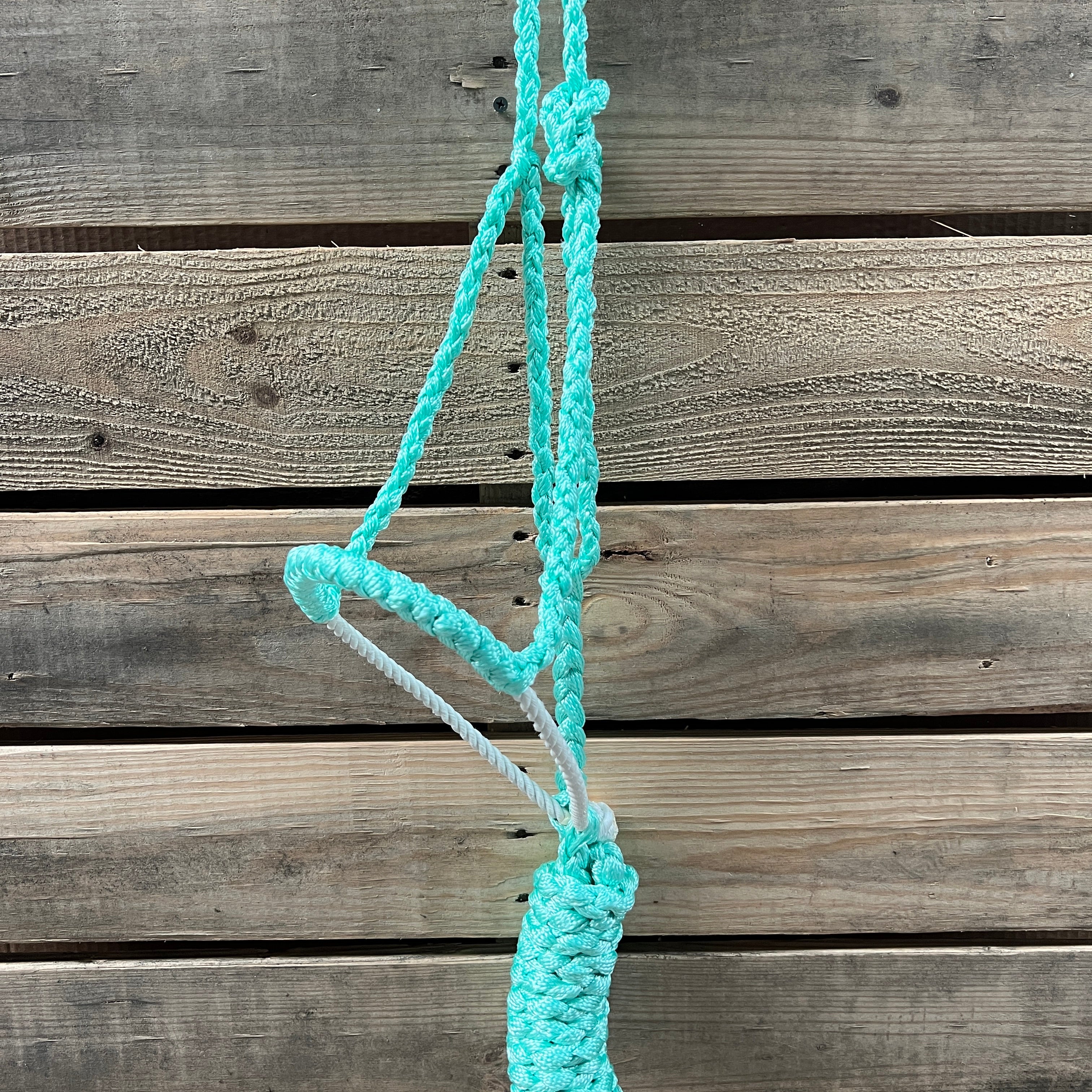 Lariat Mule Tape Halters - Assorted Colors- — view 6
