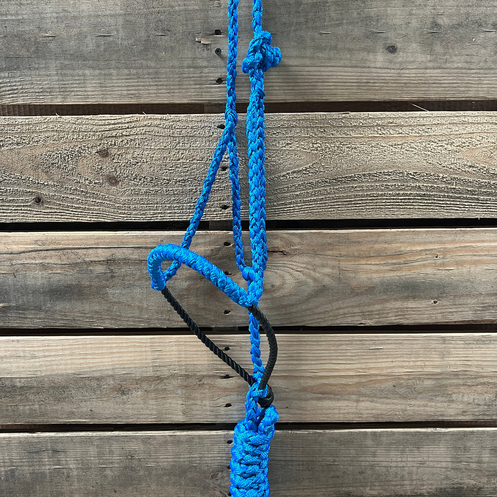 Lariat Mule Tape Halters - Assorted Colors- — view 5