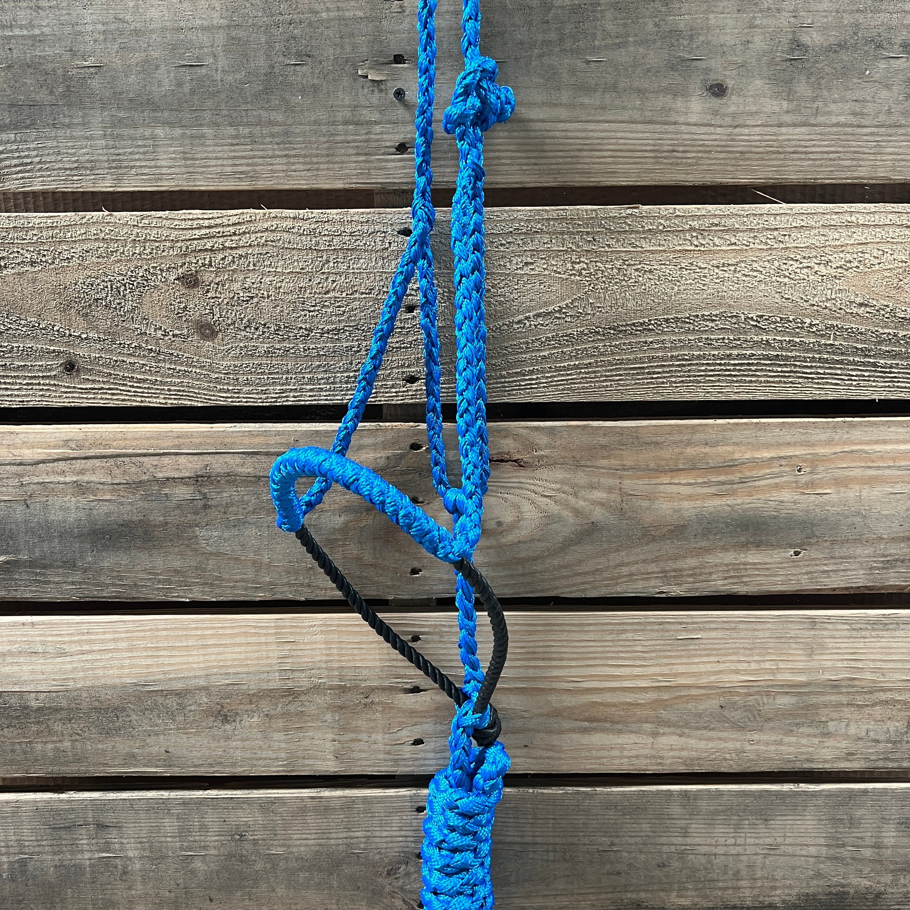 Lariat Mule Tape Halters - Assorted Colors- — view 5