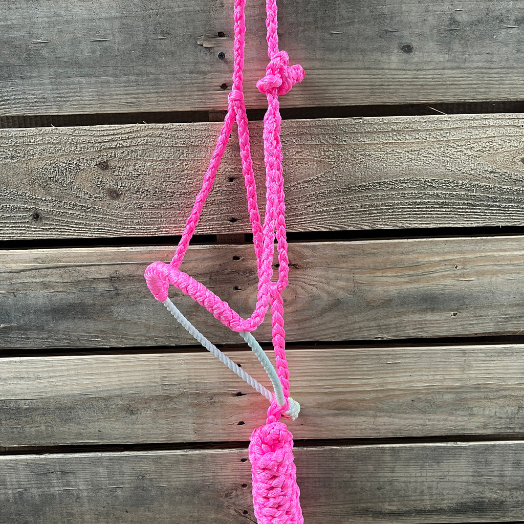 Lariat Mule Tape Halters - Assorted Colors- — view 3
